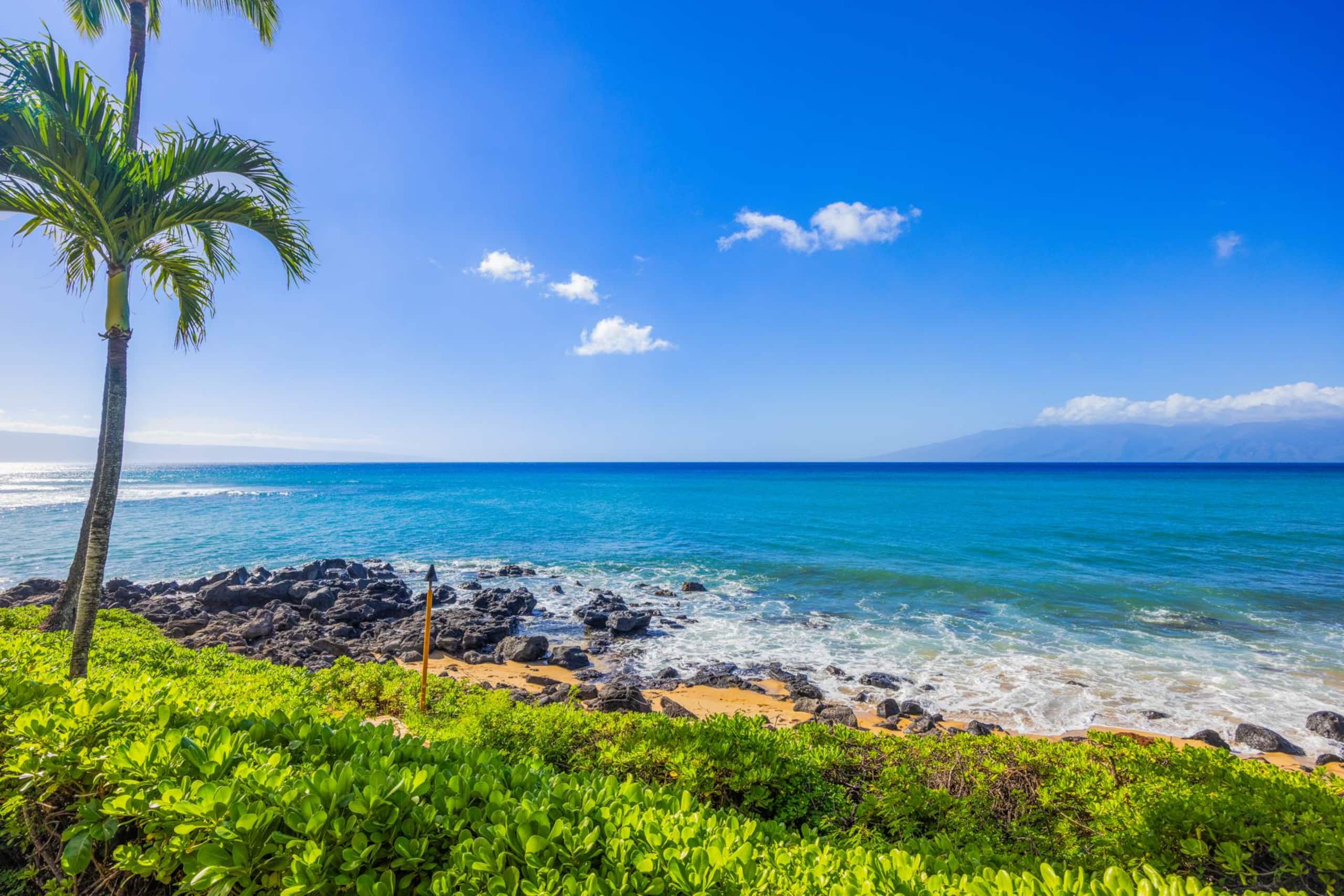 Condo in Lahaina · ★4.89 · 1 bedroom · 2 beds · 1 private bath - Image 16