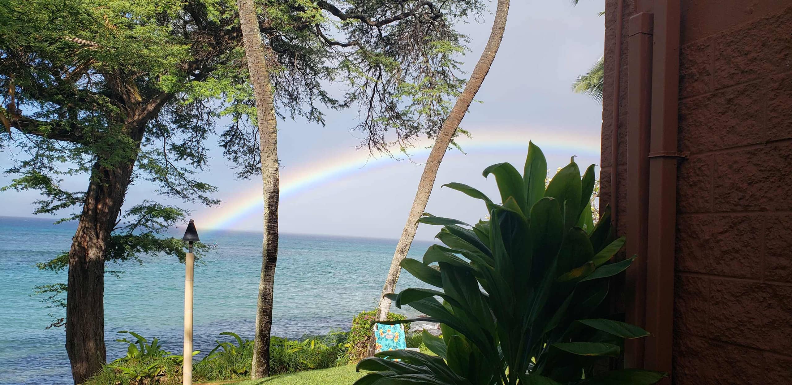 Condo in Lahaina · ★4.89 · 1 bedroom · 2 beds · 1 shared bath - Image 38