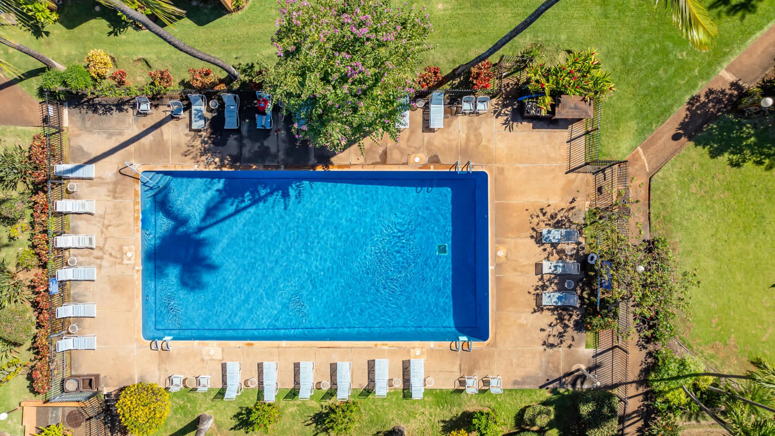 Condo in Lahaina · ★4.89 · 1 bedroom · 2 beds · 1 shared bath - Image 44