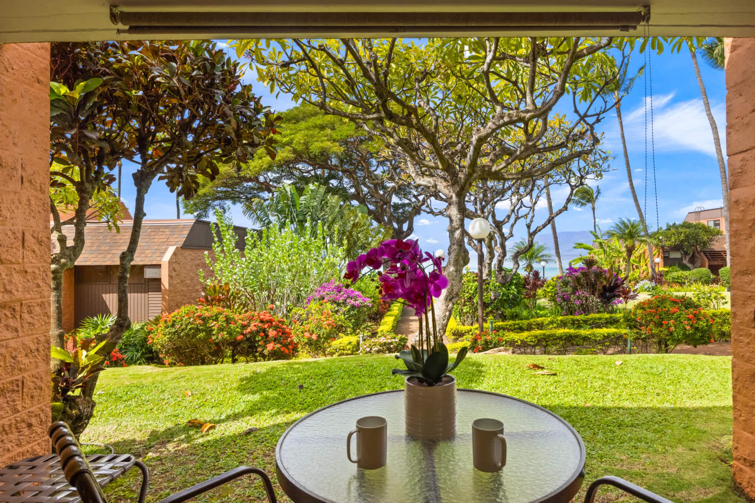 Condo in Lahaina · ★4.89 · 1 bedroom · 2 beds · 1 shared bath - Image 2