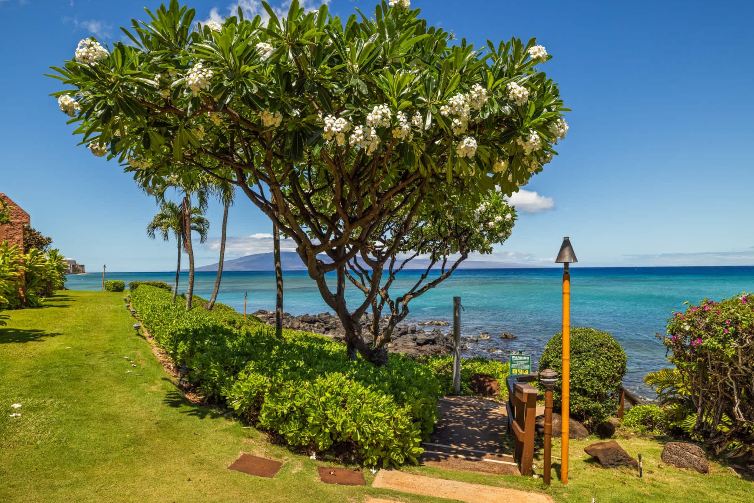 Condo in Lahaina · ★4.73 · 1 bedroom · 2 beds · 1 shared bath - Image 41