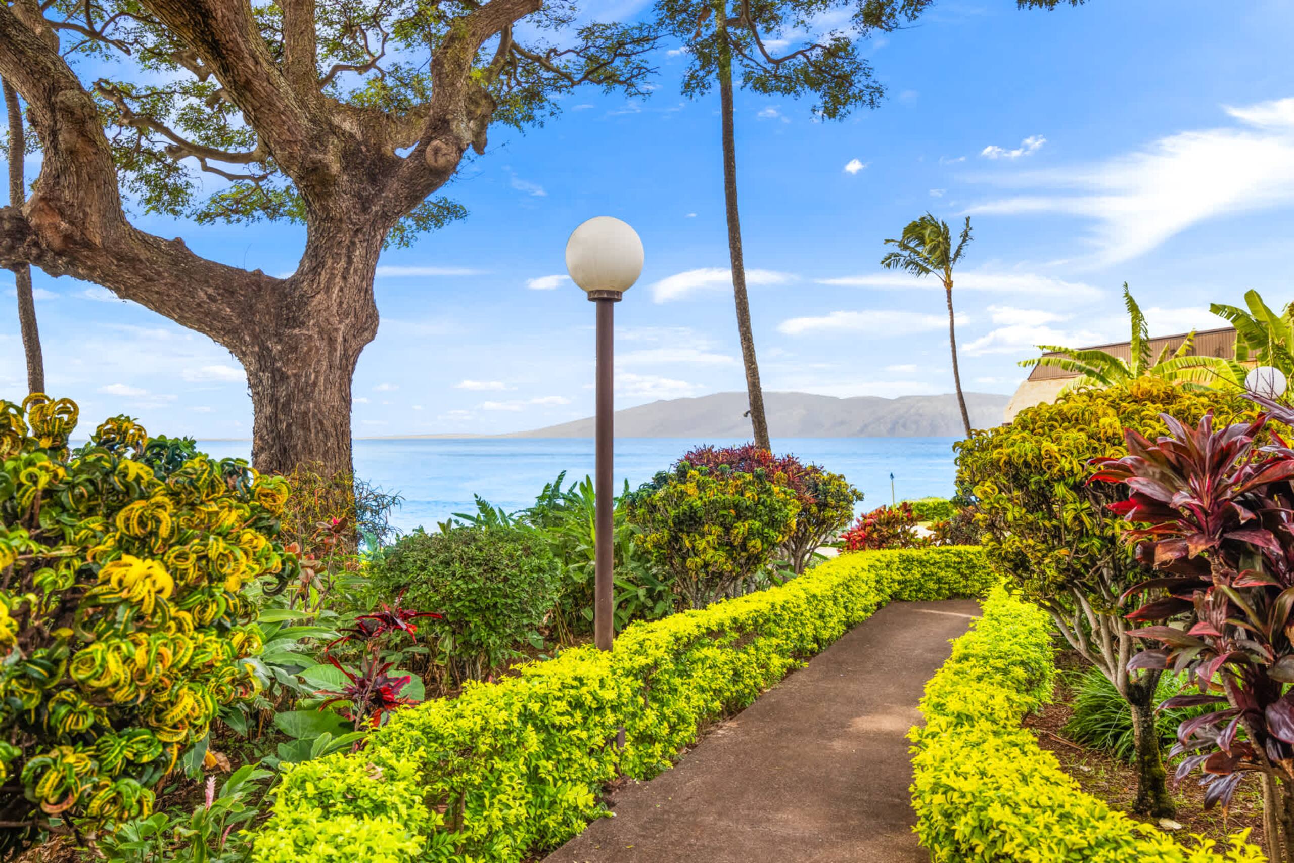 Condo in Lahaina · ★5.0 · 1 bedroom · 2 beds · 1 shared bath - Image 40