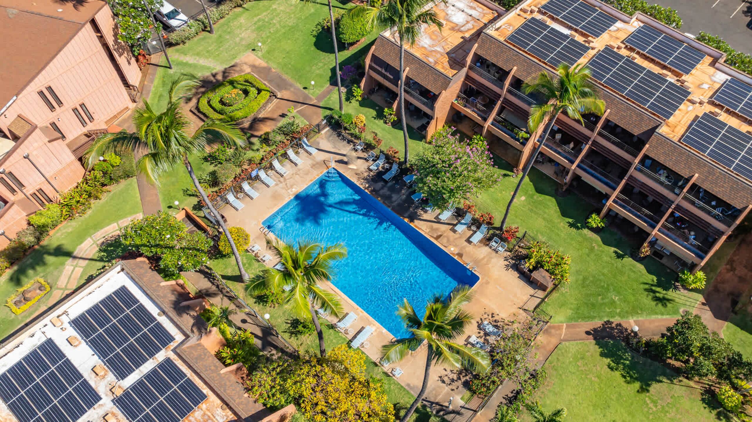 Condo in Lahaina · ★4.9 · 1 bedroom · 2 beds · 1 shared bath - Image 20