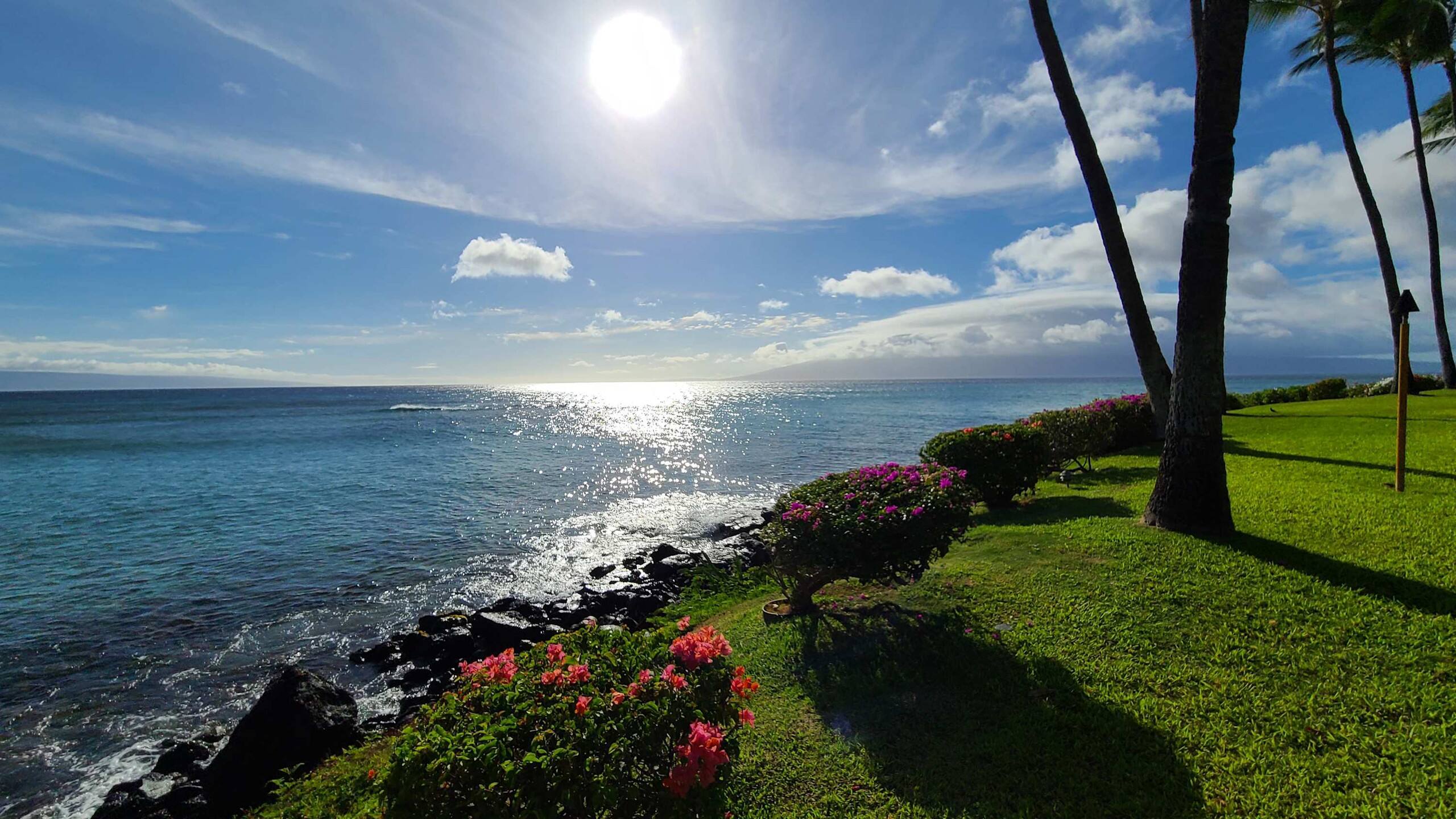 Condo in Lahaina · ★4.91 · 1 bedroom · 2 beds · 1 shared bath - Image 48
