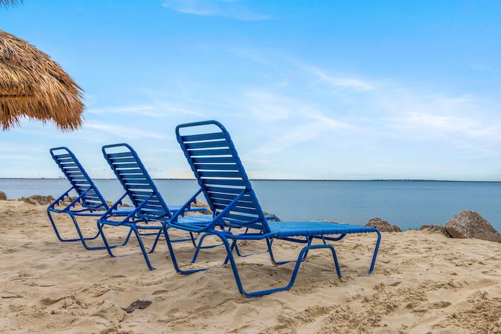 Sunny 1br W/ Balcony & Pool Access - 탬파