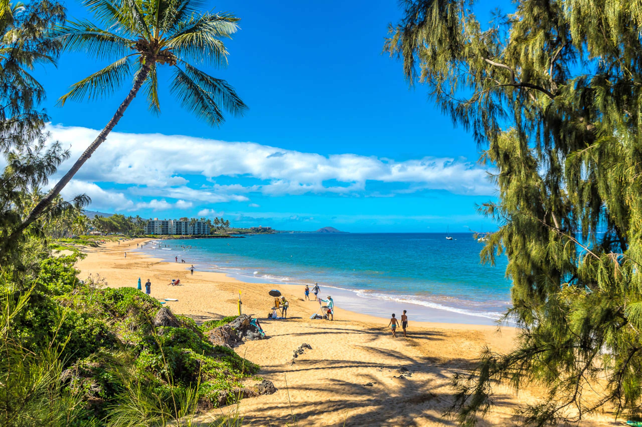 Condo in Kihei · ★4.94 · 1 bedroom · 2 beds · 1 shared bath - Image 44
