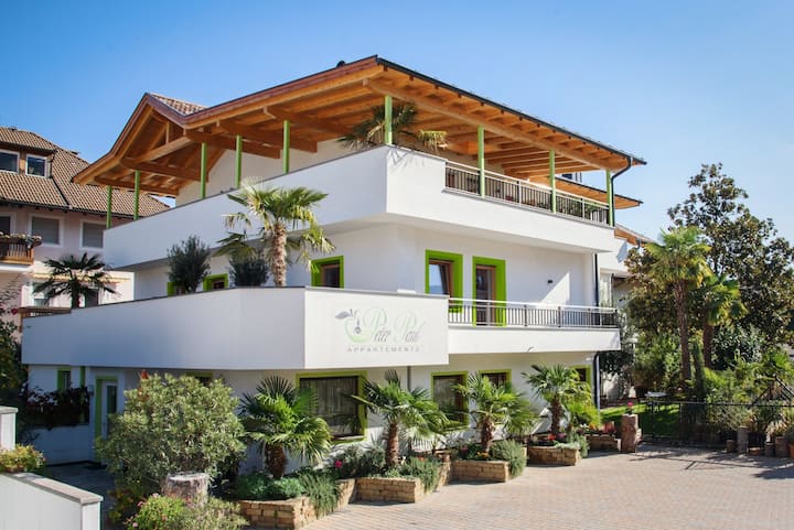 Peter Paul Gartenapt. Palme - Bolzano