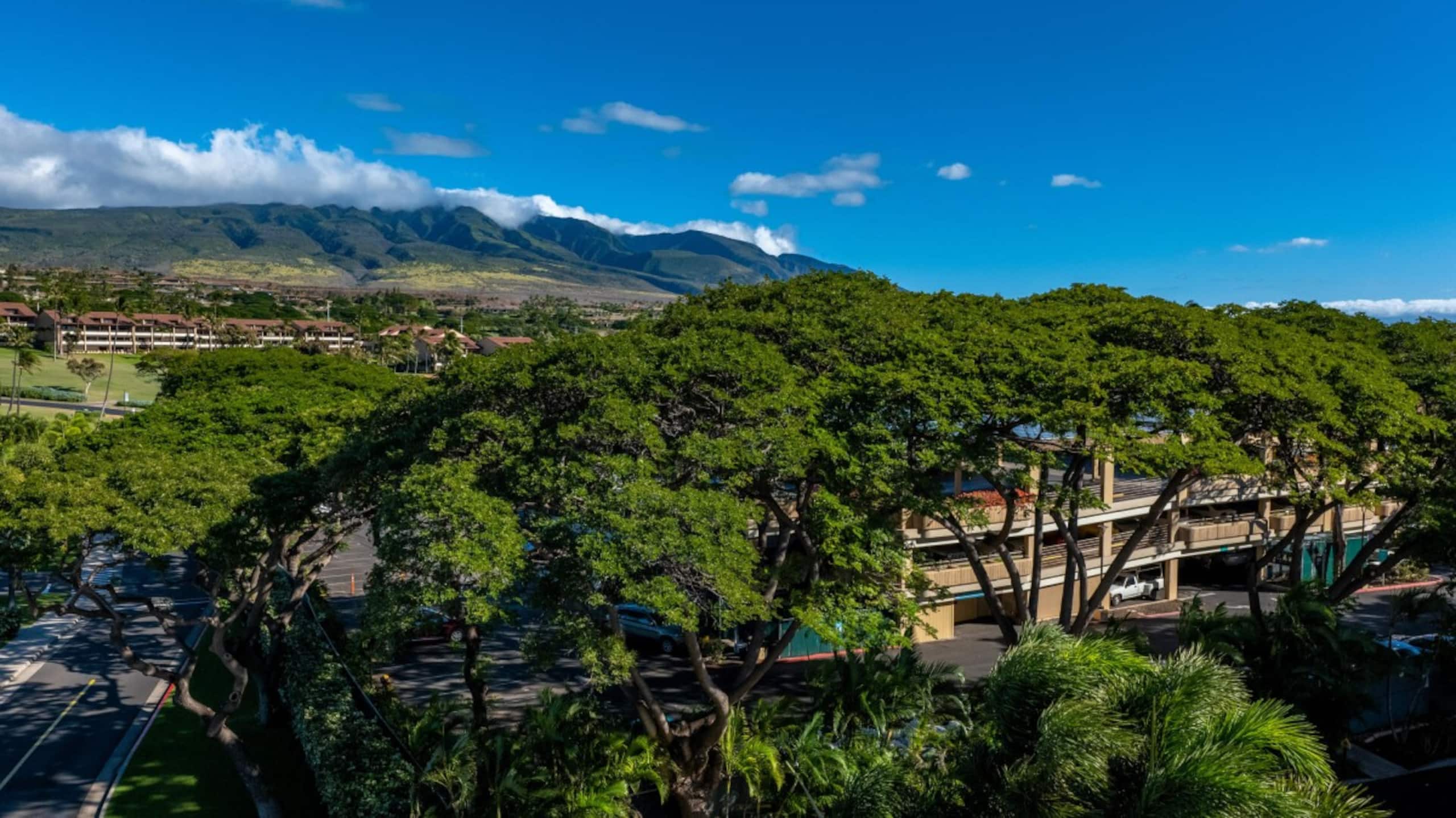 Condo in Lahaina · ★5.0 · 2 bedrooms · 4 beds · 2 private baths - Image 23
