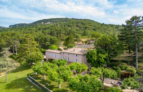 Bastide de l'Esclat - Pool - lavender fields