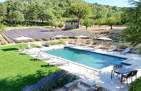 Bastide de l'Esclat - Pool - lavender fields