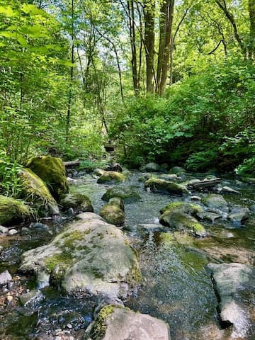 Creekside 3BR retreat w/ fire pit & BBQ gallery image 4