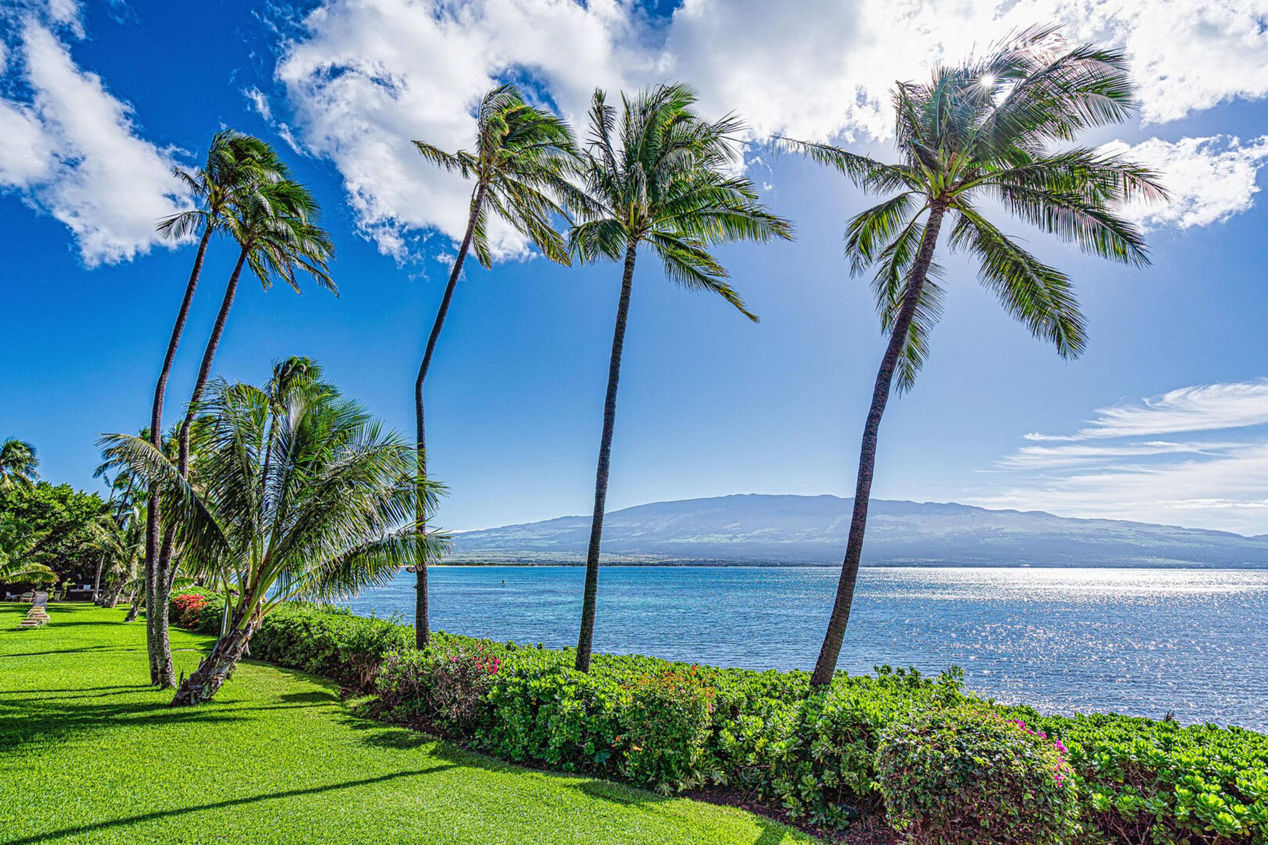 Condo in Wailuku · ★4.82 · 1 bedroom · 2 beds · 1 private bath - Image 54