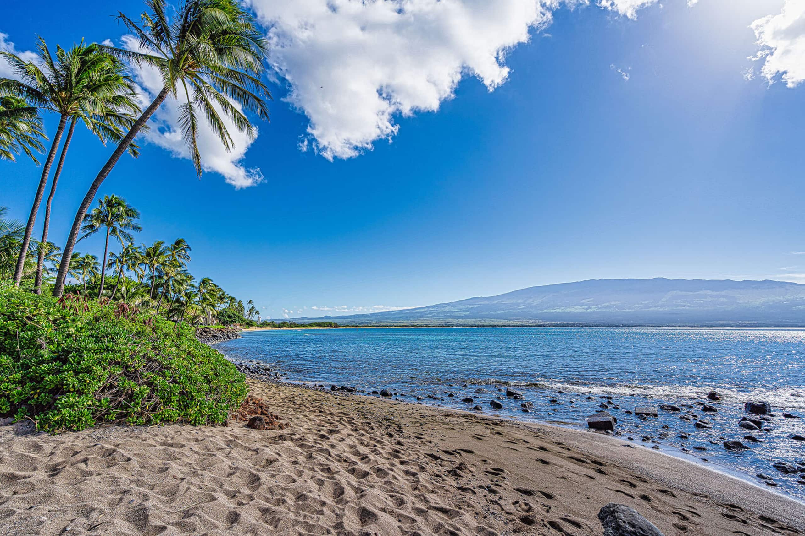 Condo in Wailuku · ★4.82 · 1 bedroom · 2 beds · 1 private bath - Image 47