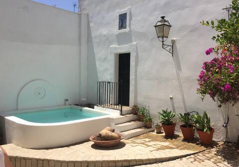 Casa Con Piscina 5 minutes from Seville