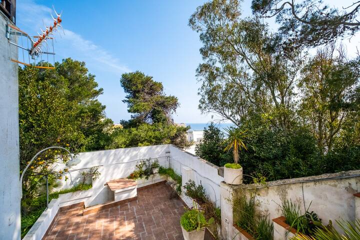 Bilocale – Rosa seaview in villa gallery image 2