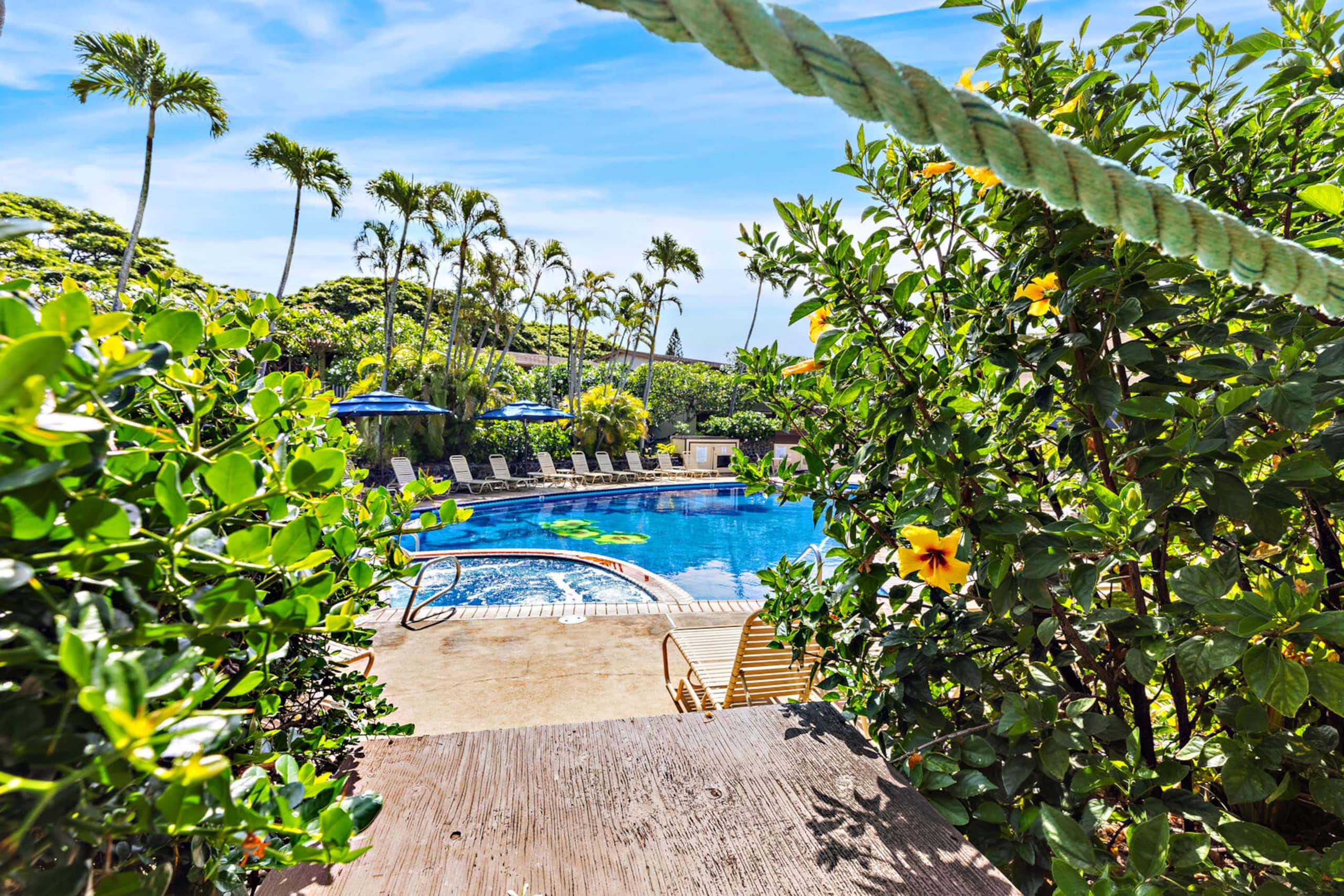 Condo in Lahaina · ★4.57 · 1 bedroom · 3 beds · 1 bath - Image 7