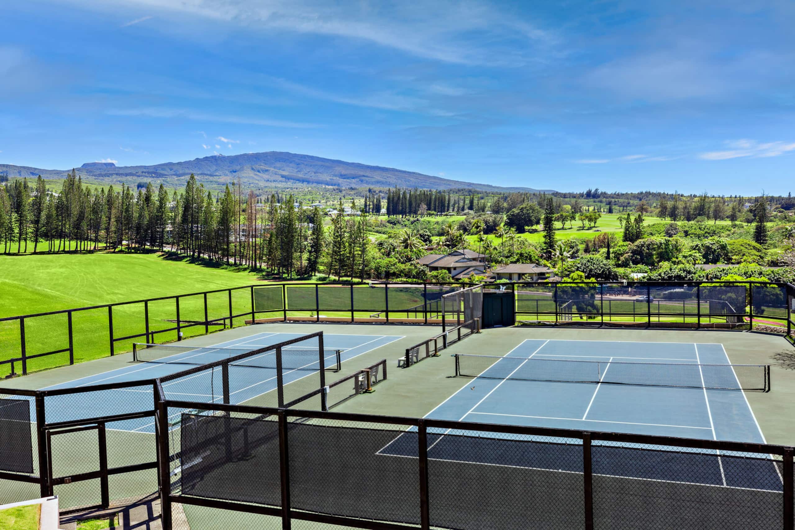 Condo in Lahaina · ★4.86 · 1 bedroom · 2 beds · 1.5 private baths - Image 41