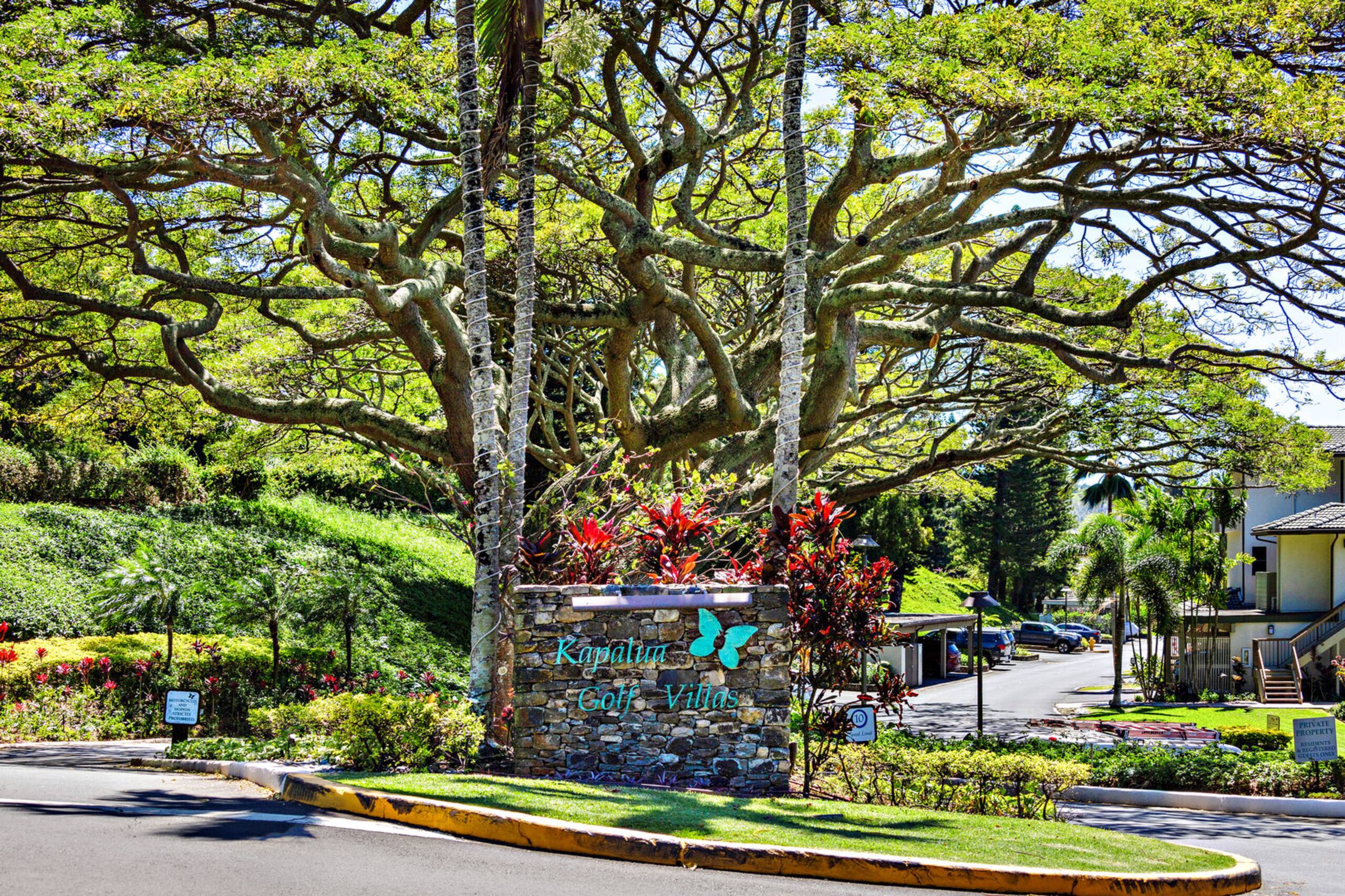 Condo in Lahaina · ★4.86 · 1 bedroom · 2 beds · 1.5 private baths - Image 45