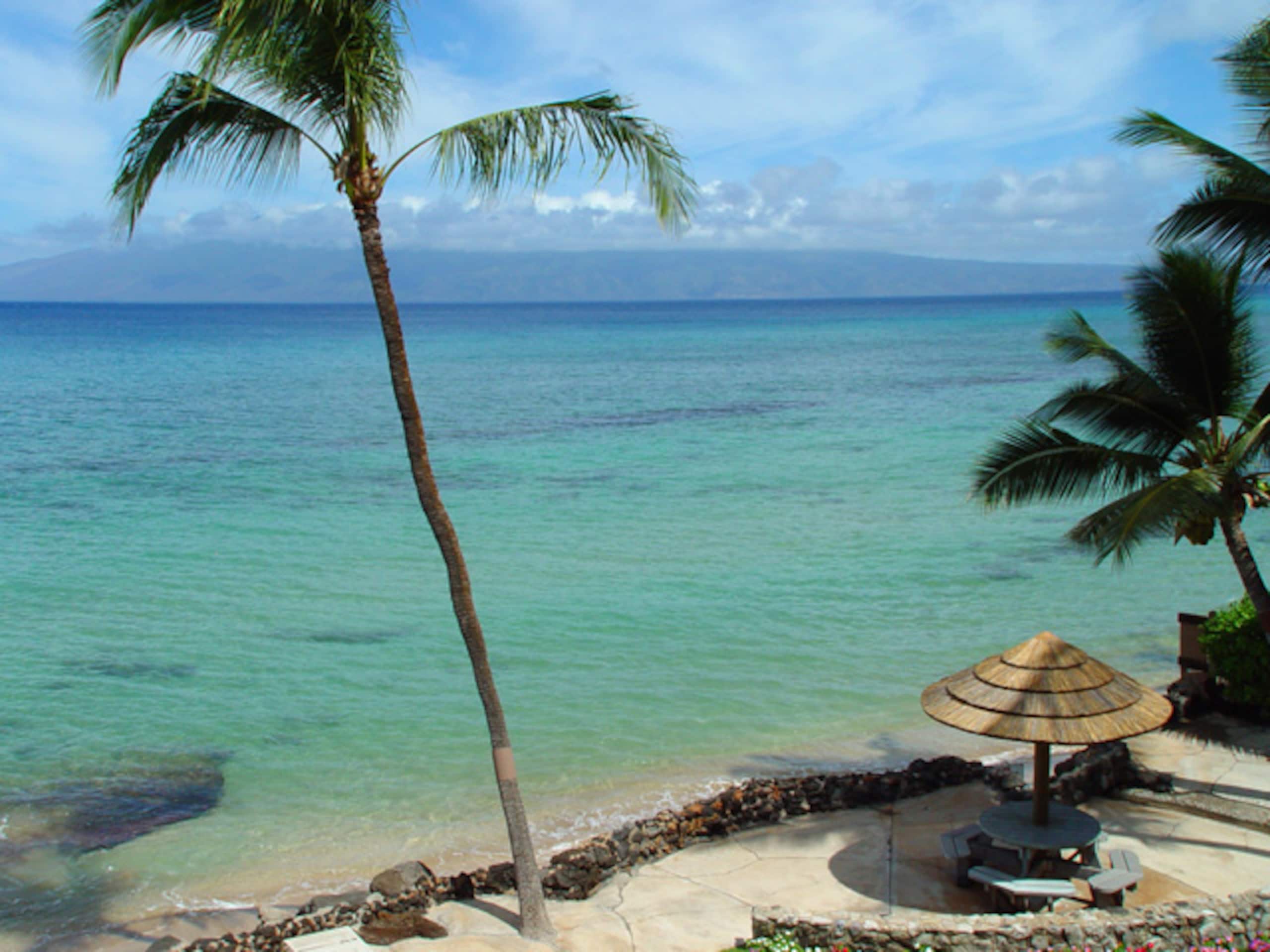 Condo in Lahaina · ★4.93 · 1 bedroom · 1 bed · 1 bath - Image 41