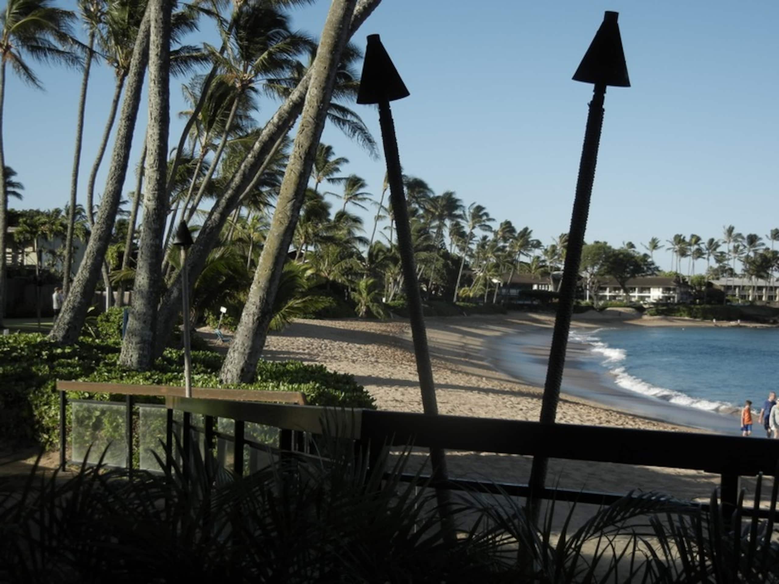 Condo in Lahaina · ★4.93 · 1 bedroom · 1 bed · 1 bath - Image 34