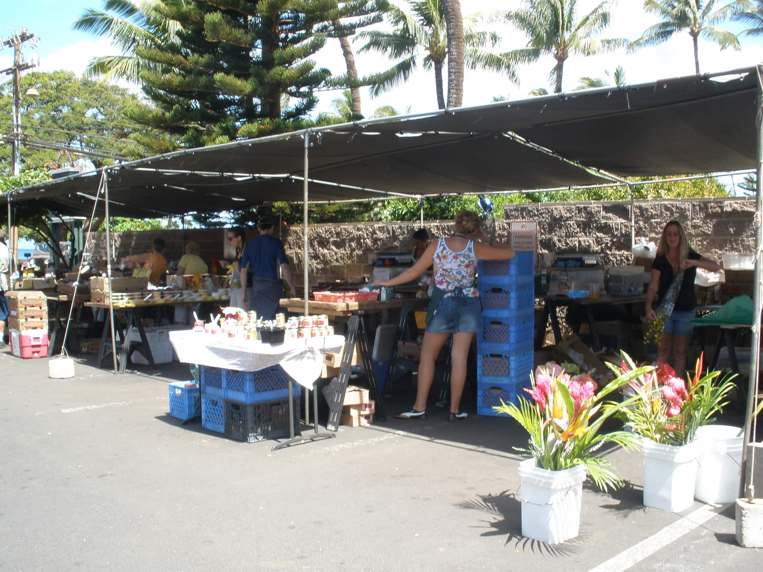 Condo in Lahaina · ★4.93 · 1 bedroom · 1 bed · 1 bath - Image 43