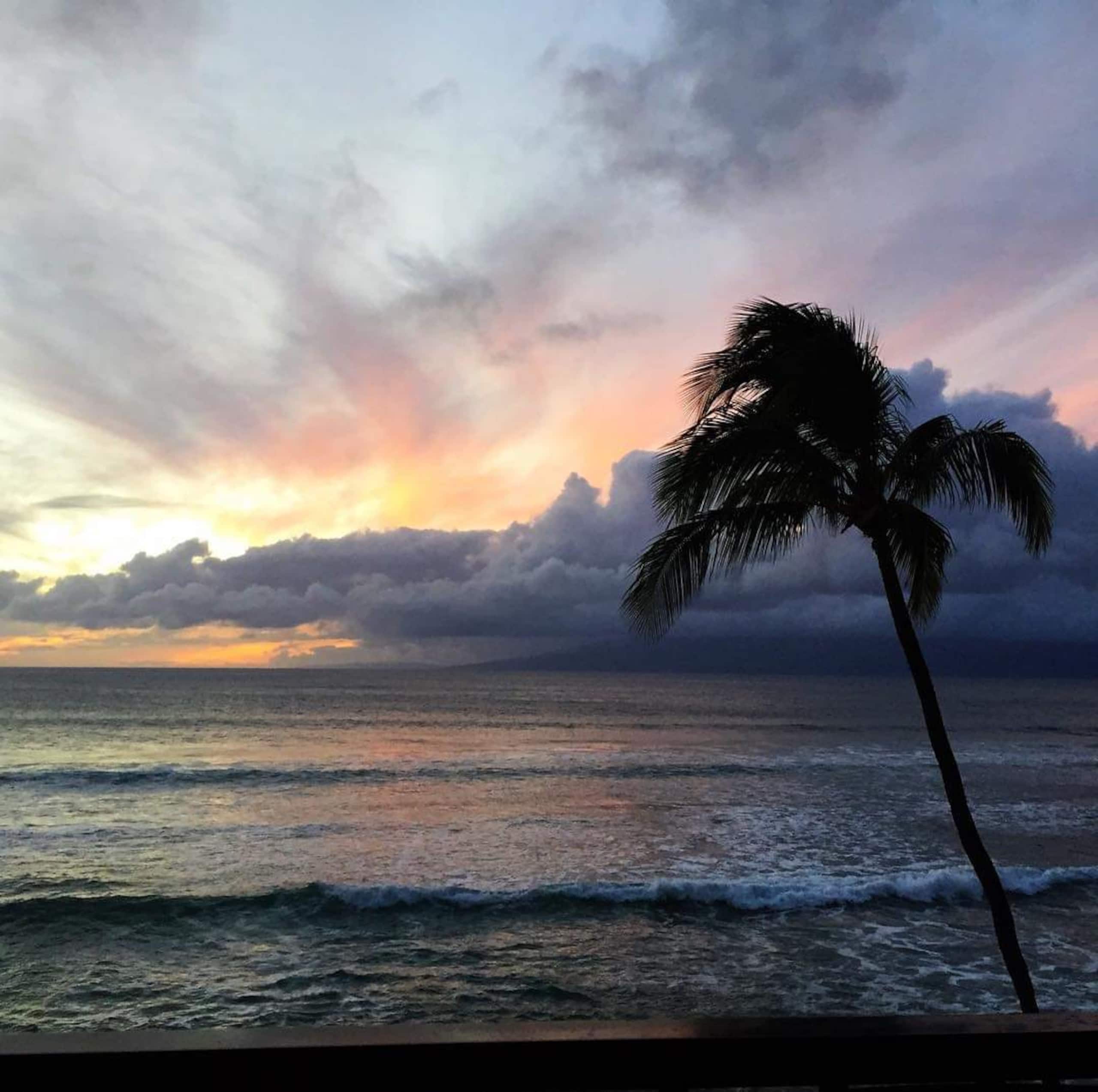 Condo in Lahaina · ★4.93 · 1 bedroom · 1 bed · 1 bath - Image 37