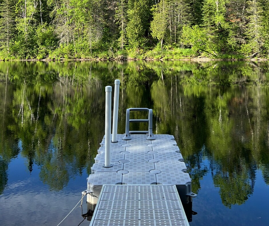 A floating dock extends over calm waters, with a sturdy railing providing access. Lush greenery surrounds the area, reflecting perfectly in the water's surface. The tranquil scene is accented by trees lining the shore, creating a peaceful outdoor environment.