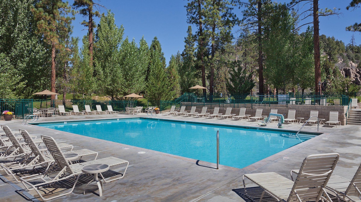 An expansive outdoor swimming pool is surrounded by lounge chairs, positioned for relaxation under the sun. Lush trees provide shade along the pool area, creating a serene environment. Umbrellas are noted in the background for additional comfort.