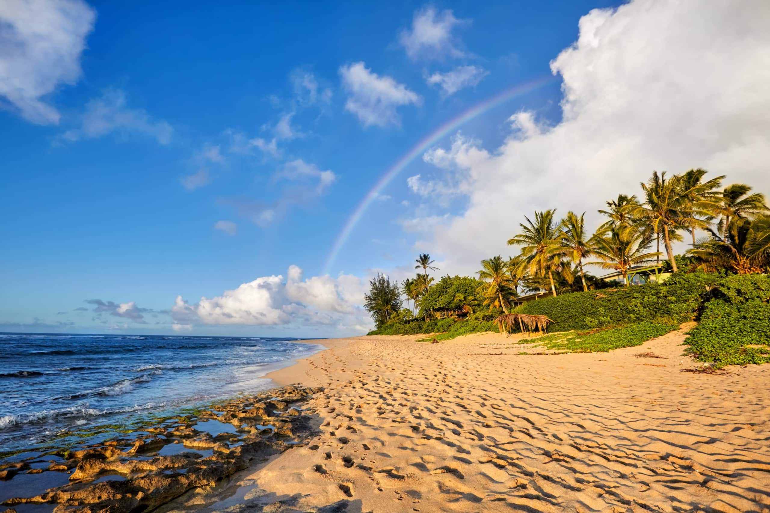 Home in Waianae · ★4.82 · 3 bedrooms · 4 beds · 2.5 private baths - Image 4