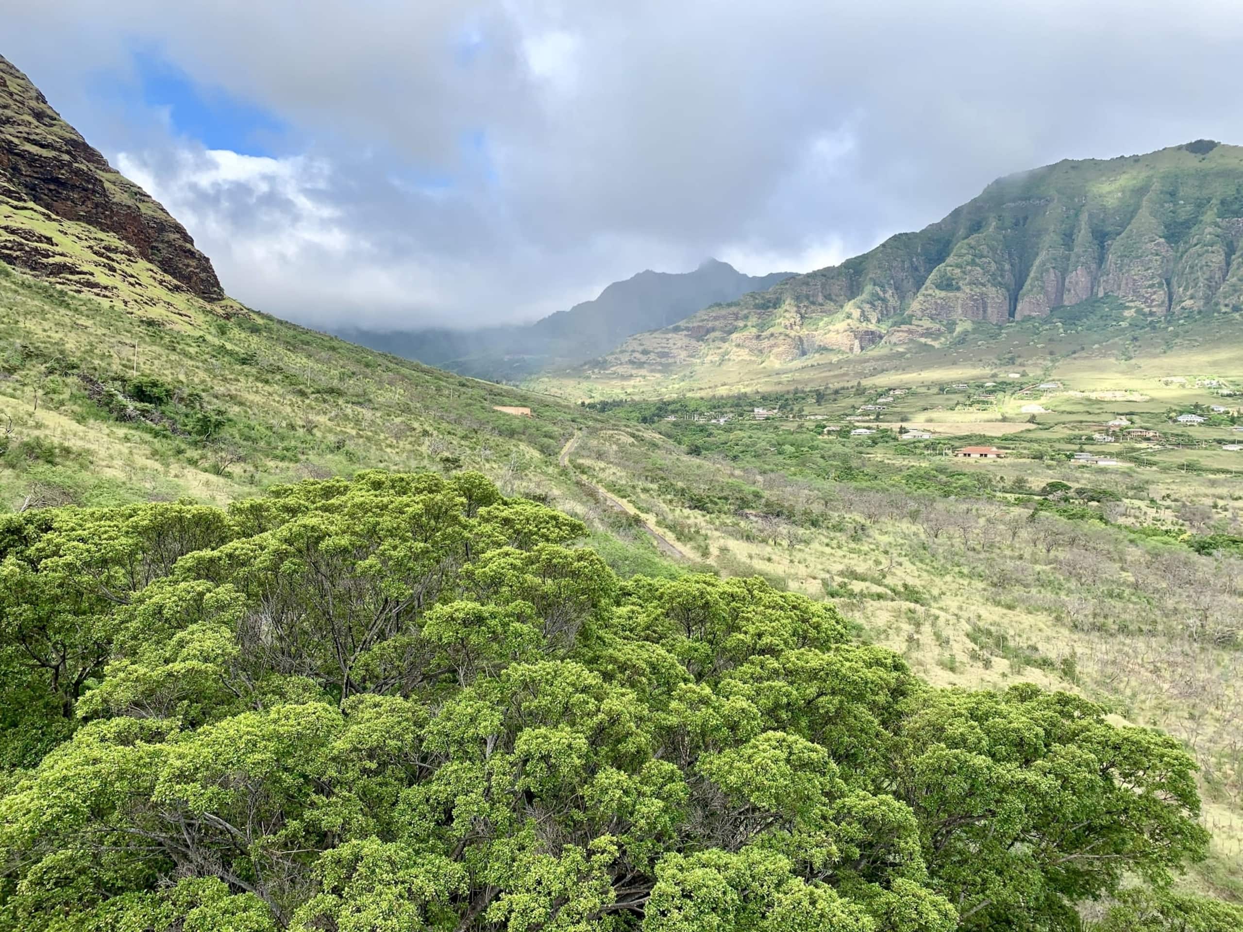 Home in Waianae · ★4.82 · 3 bedrooms · 4 beds · 2.5 private baths - Image 106