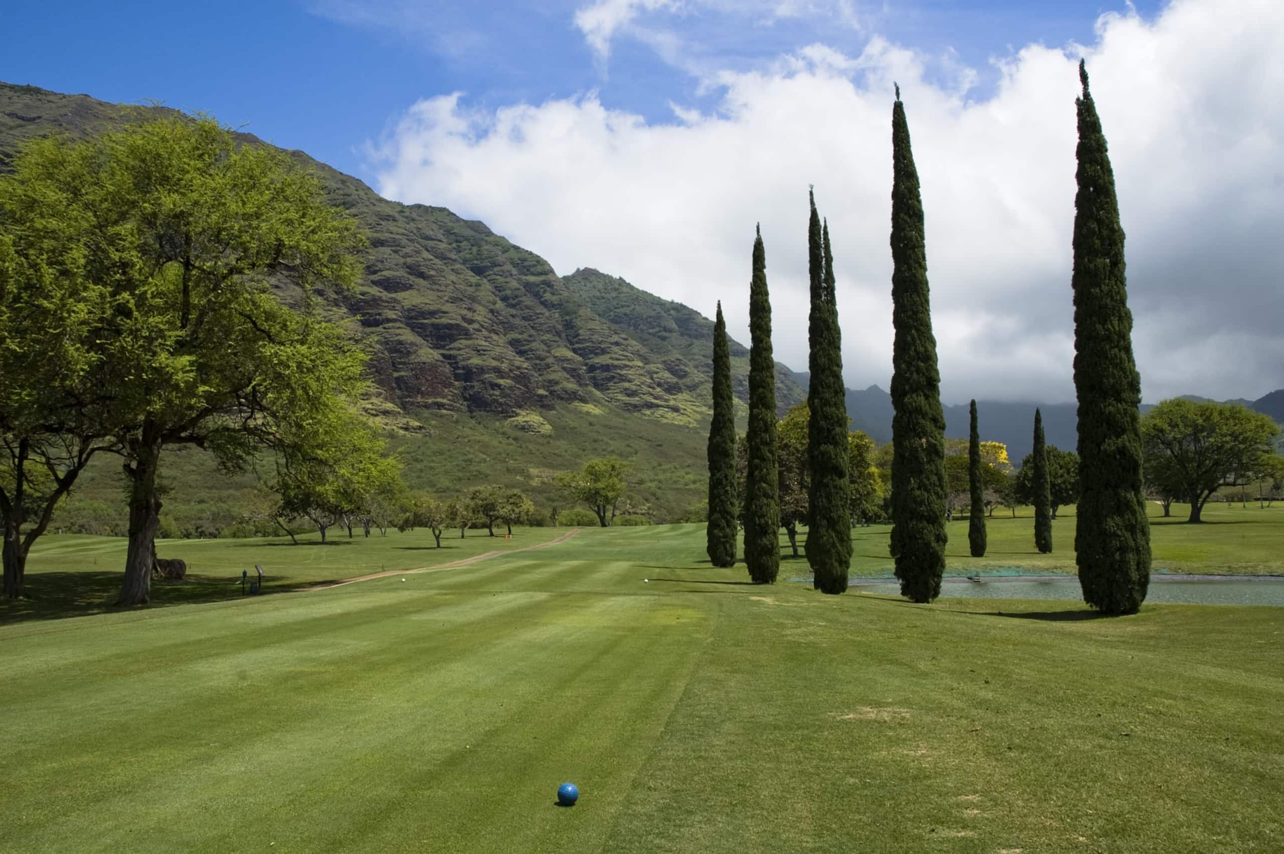 Home in Waianae · ★4.82 · 3 bedrooms · 4 beds · 2.5 private baths - Image 103