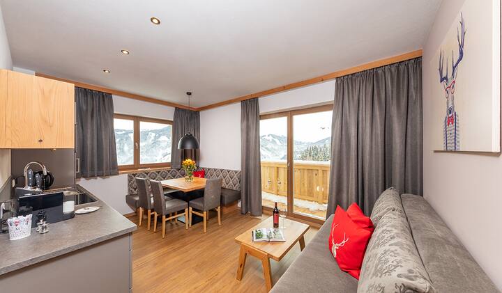 Apartment Zeitgeist - Mühlbach am Hochkönig