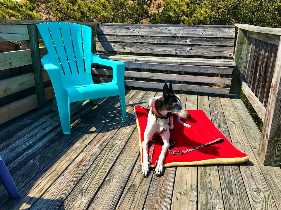 Captain's Cabin OBX - photo 7