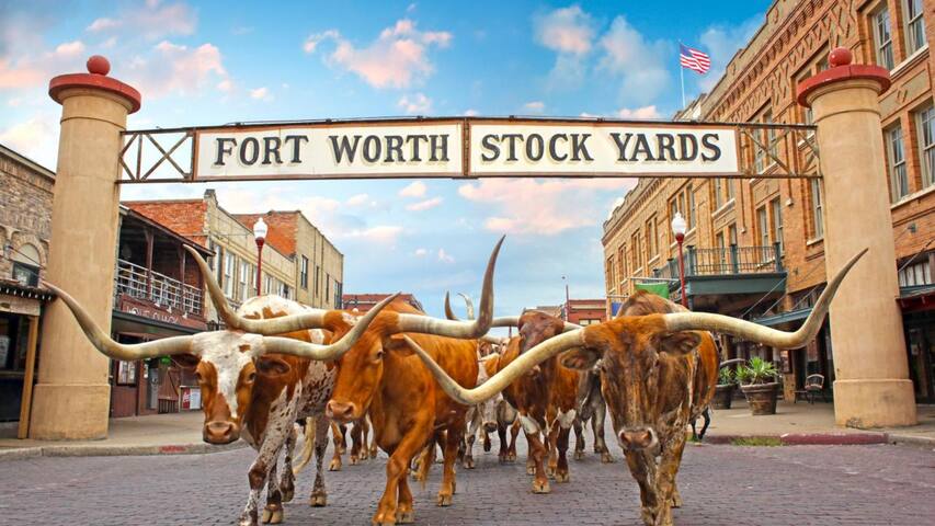 Cowtown Casita – close to Stockyards, Billy Bob’s gallery image 2