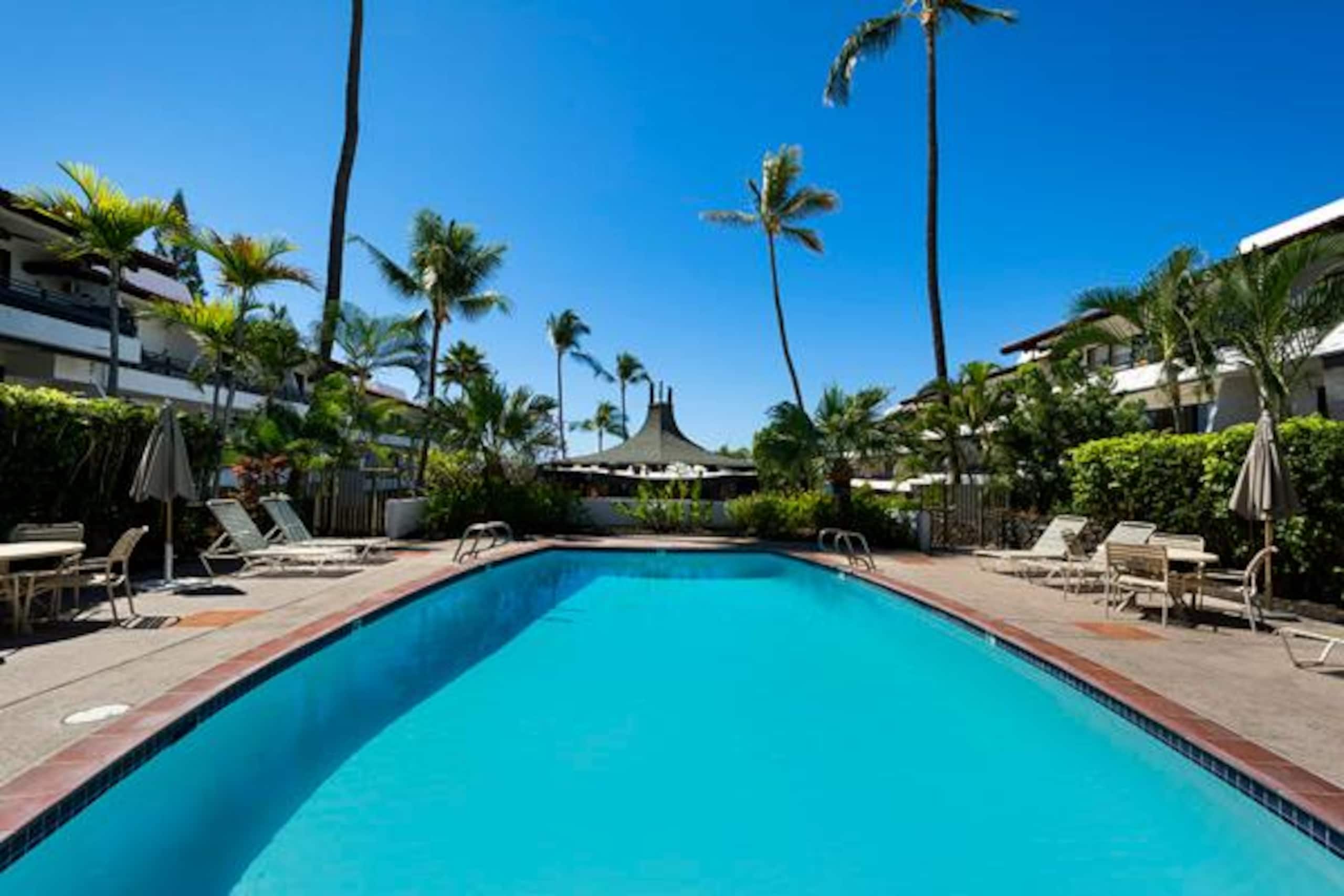 Condo in Kailua-Kona · ★4.88 · 1 bedroom · 2 beds · 1 private bath - Image 16