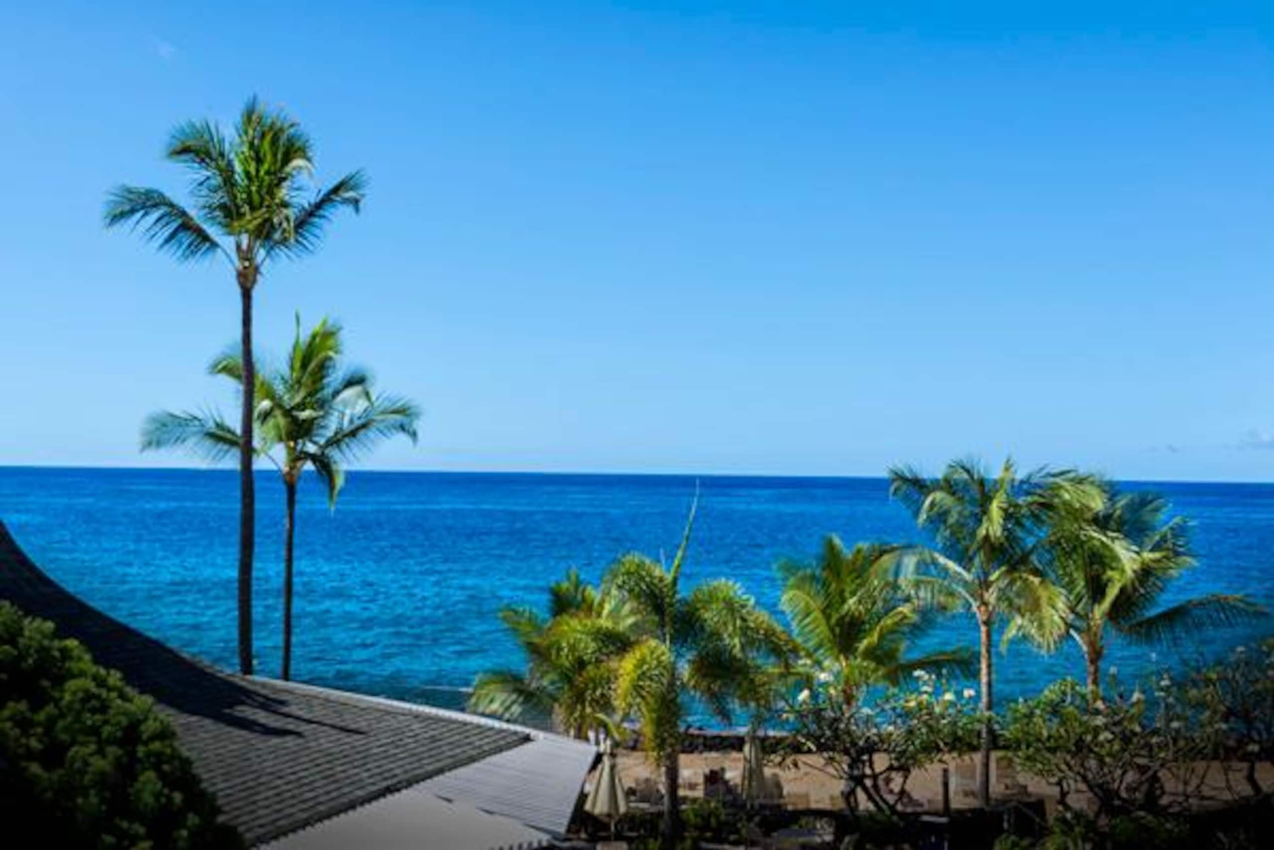 Condo in Kailua-Kona · ★4.88 · 1 bedroom · 2 beds · 1 private bath - Image 2