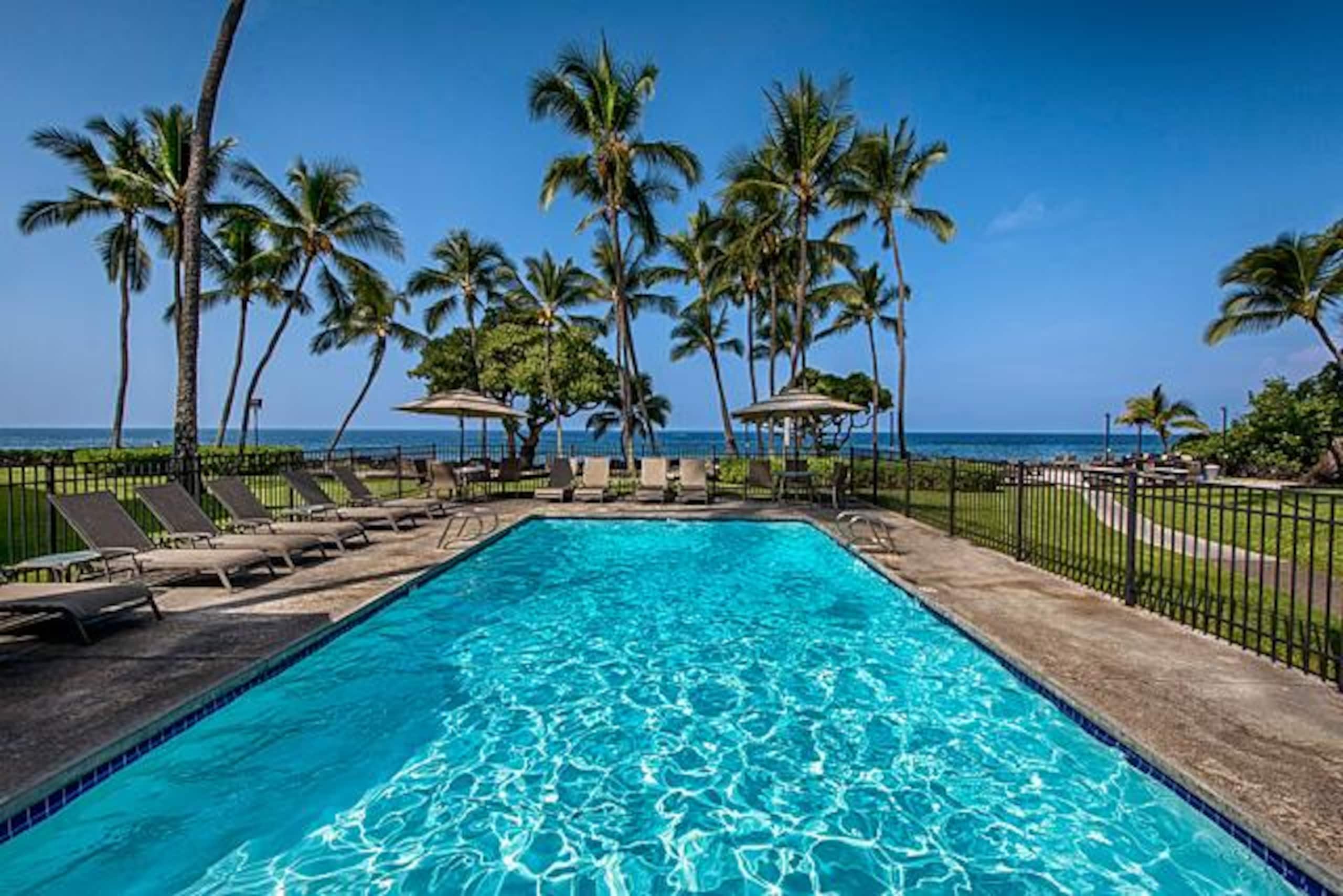 Condo in Kailua-Kona · ★5.0 · 1 bedroom · 1 bed · 1 bath - Image 32