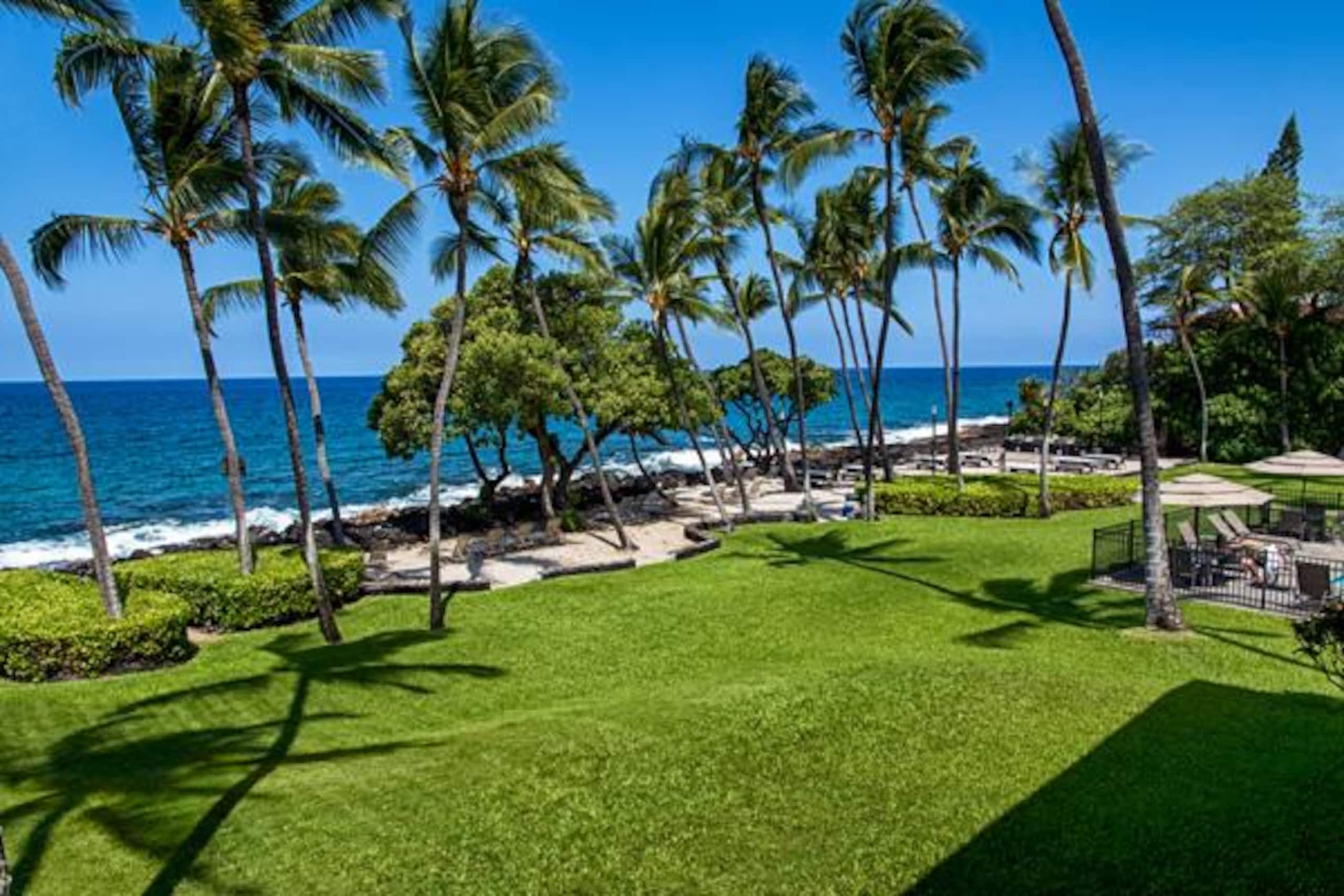 Condo in Kailua-Kona · ★5.0 · 1 bedroom · 1 bed · 1 bath - Image 41