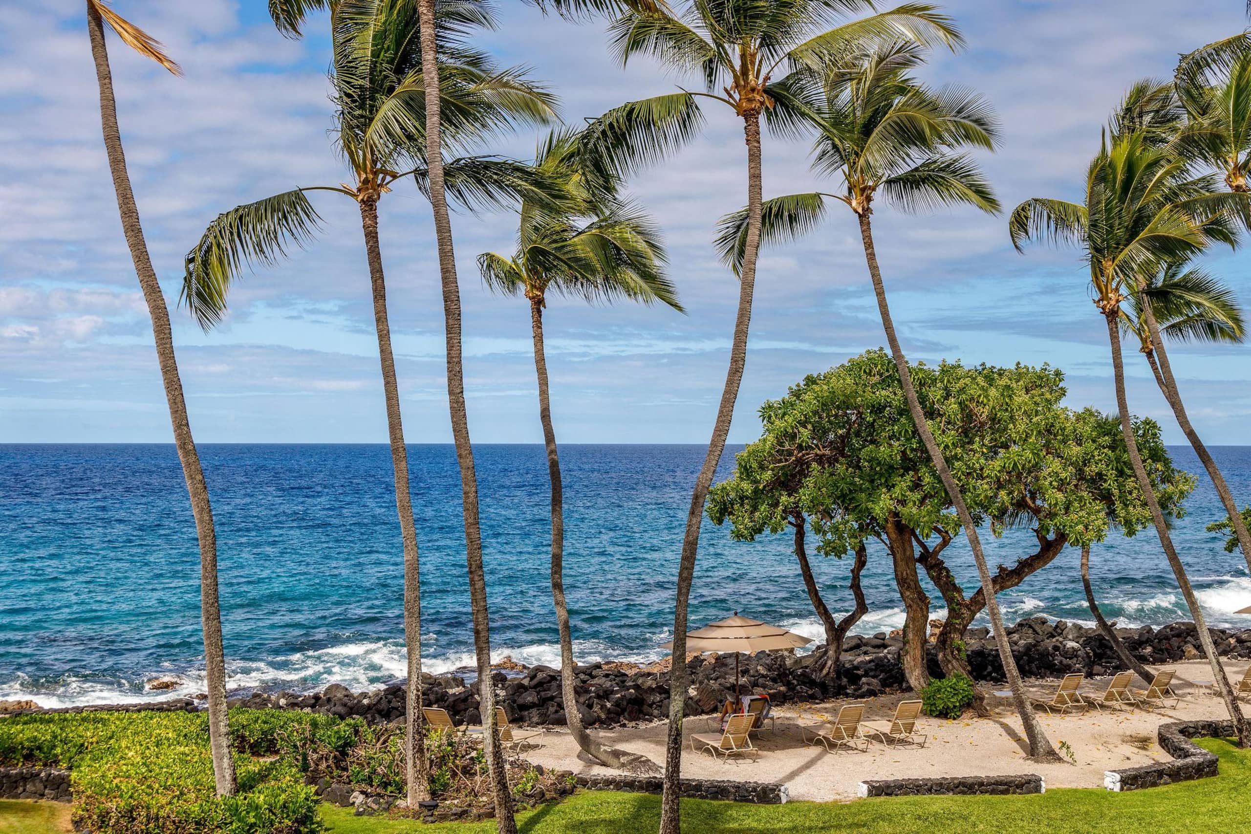 Condo in Kailua-Kona · ★5.0 · 1 bedroom · 1 bed · 1 bath - Image 21