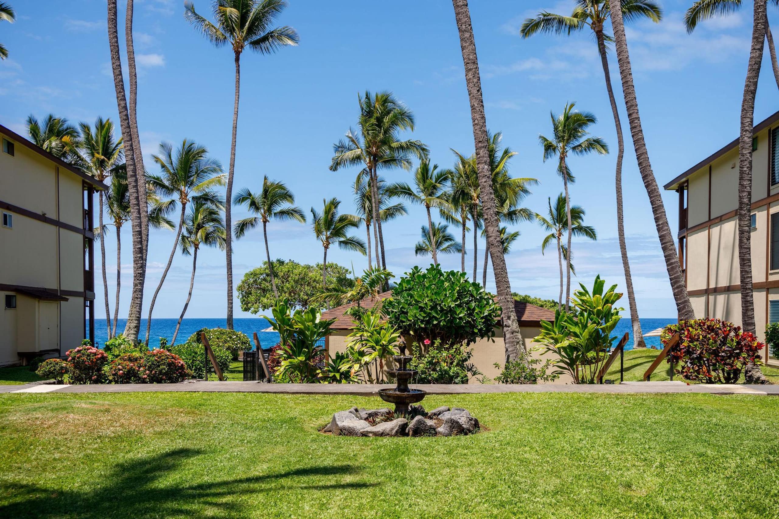 Condo in Kailua-Kona · ★5.0 · 1 bedroom · 1 bed · 1 bath - Image 28