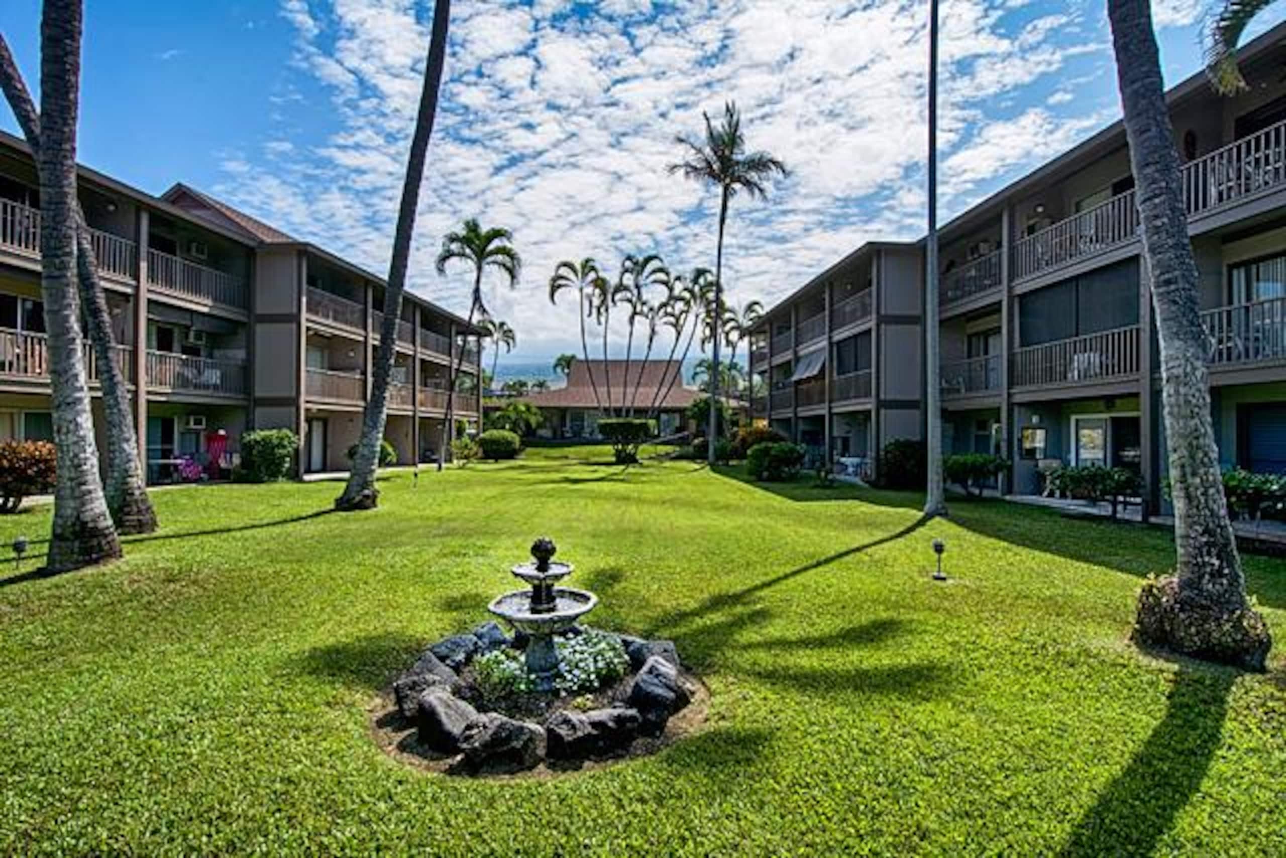 Condo in Kailua-Kona · ★5.0 · 1 bedroom · 1 bed · 1 bath - Image 42