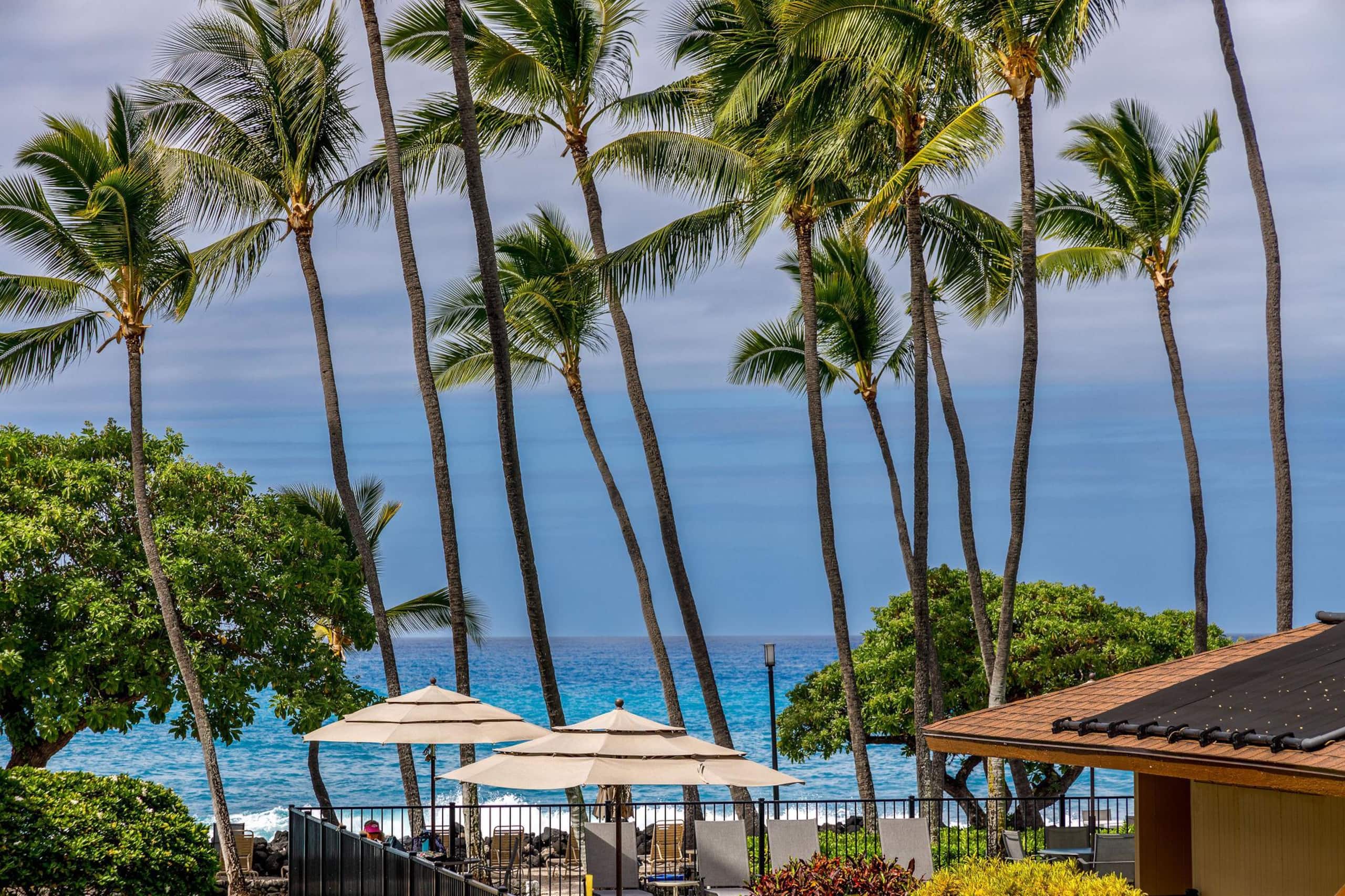 Condo in Kailua-Kona · ★5.0 · 1 bedroom · 1 bed · 1 bath - Image 26