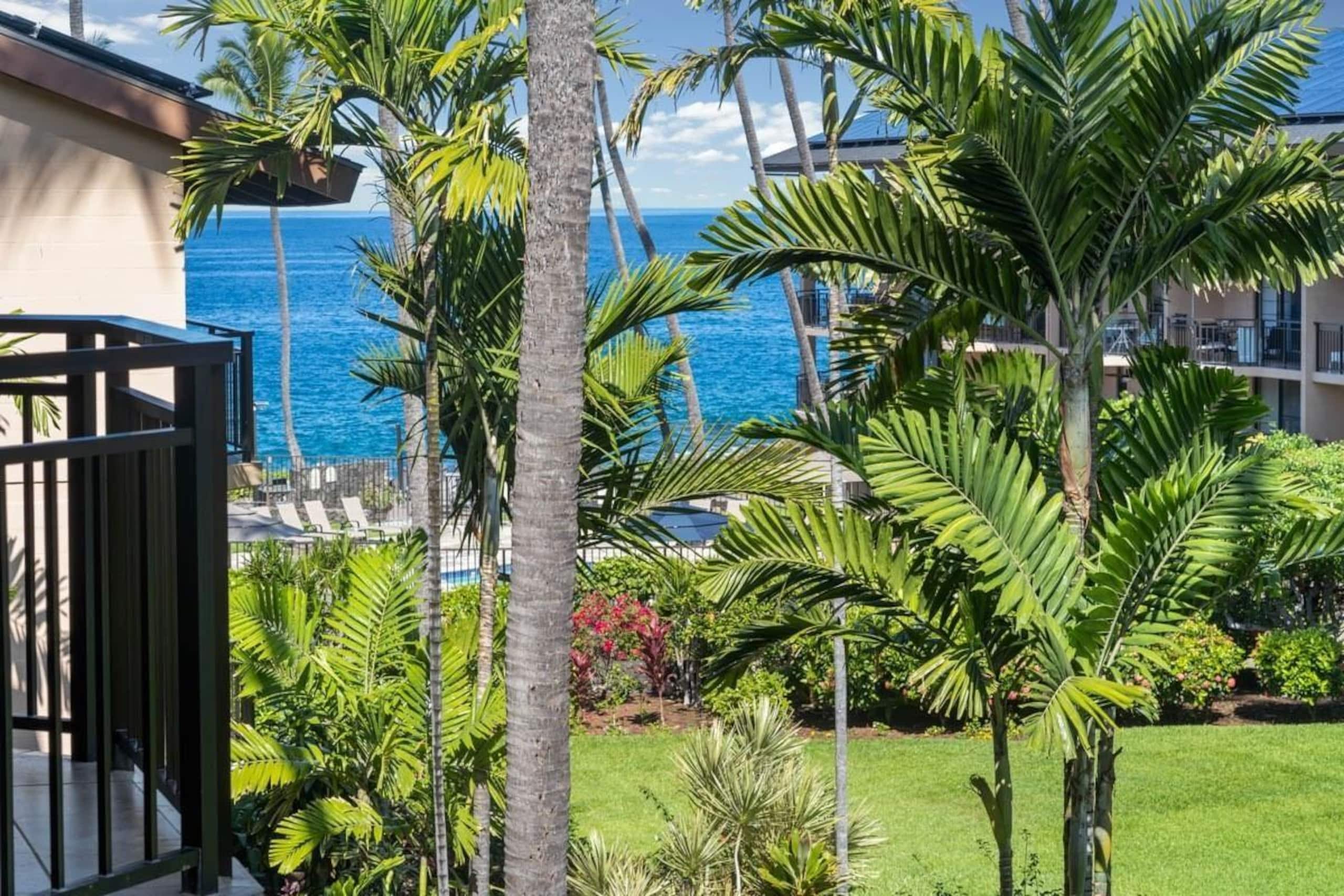 Condo in Kailua-Kona · ★4.77 · 1 bedroom · 1 bed · 1 private bath - Image 2