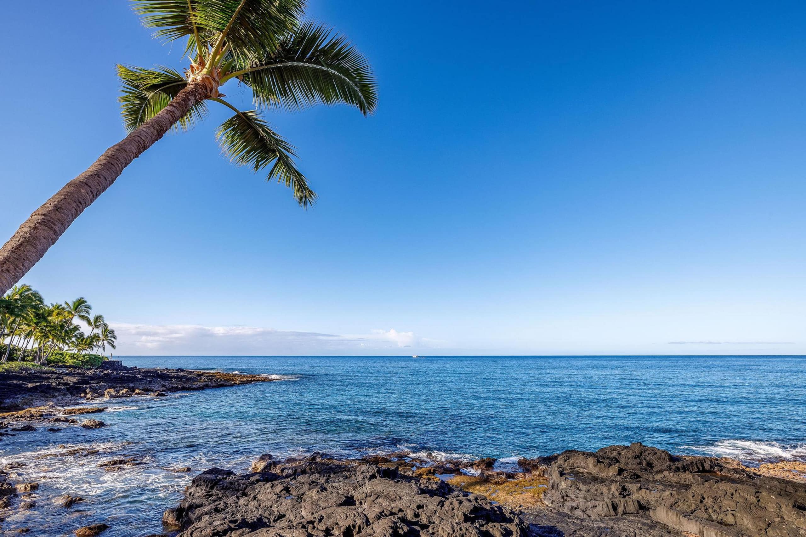 Condo in Kailua-Kona · ★4.77 · 1 bedroom · 1 bed · 1 private bath - Image 33