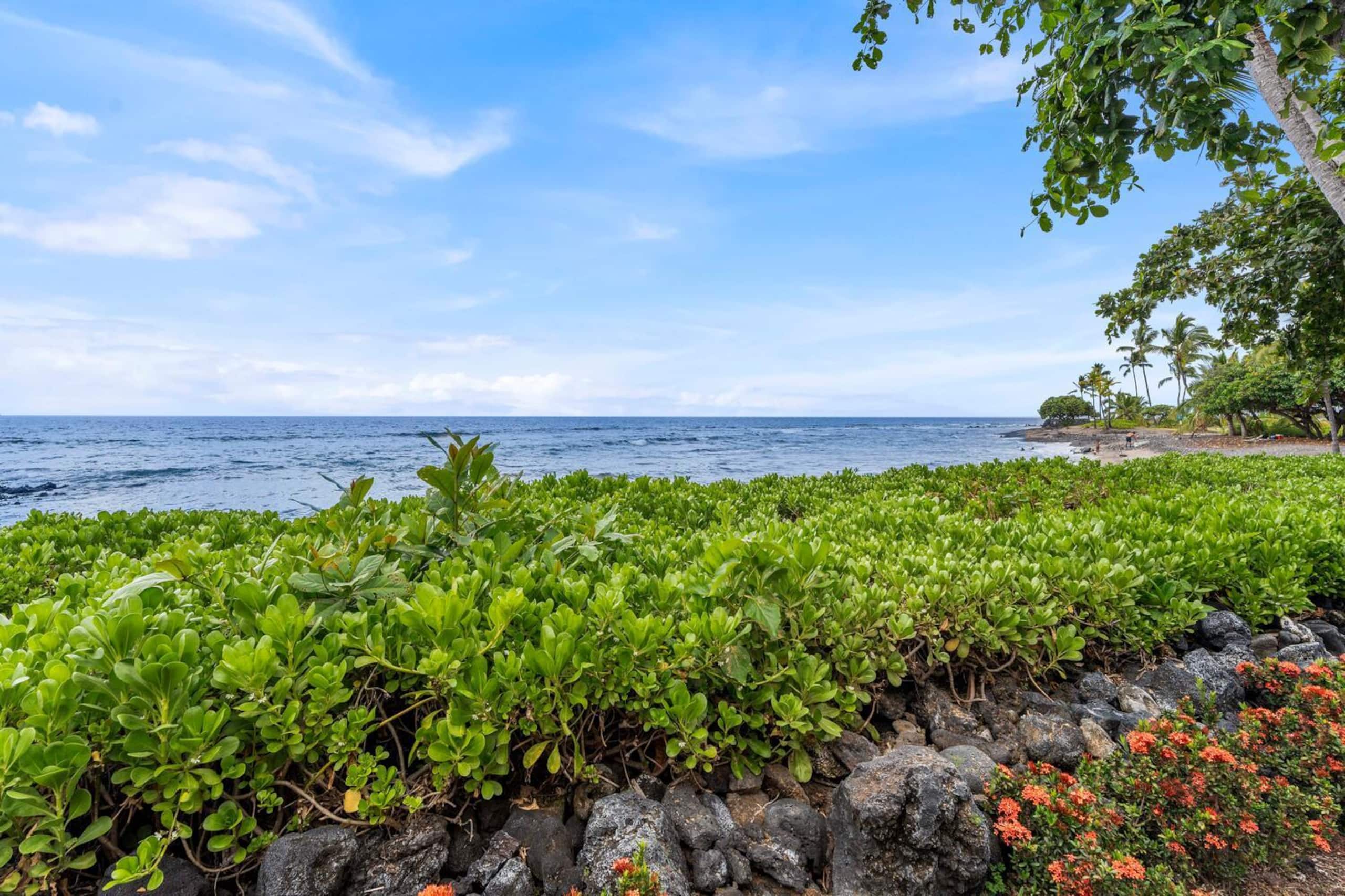 Condo in Kailua-Kona · ★4.56 · 2 bedrooms · 2 beds · 2 baths - Image 4