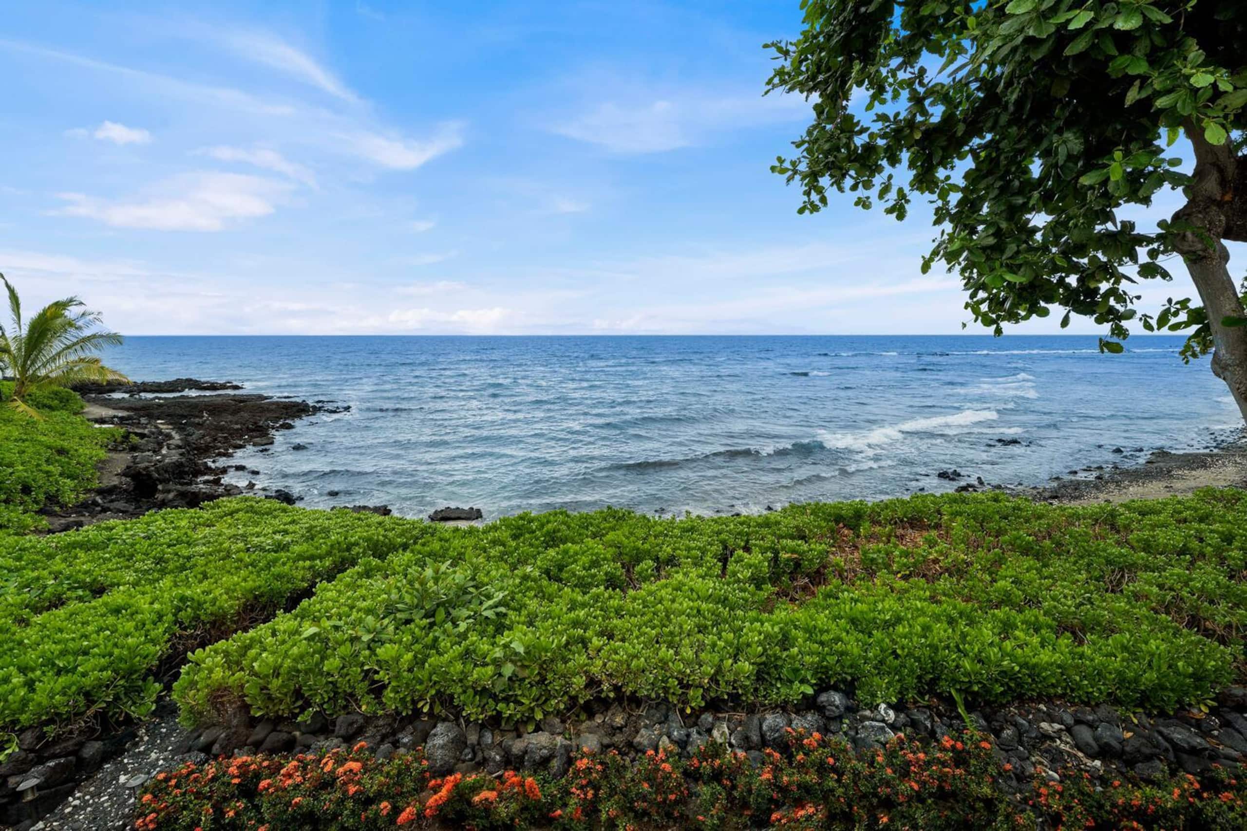 Condo in Kailua-Kona · ★4.56 · 2 bedrooms · 2 beds · 2 baths - Image 3