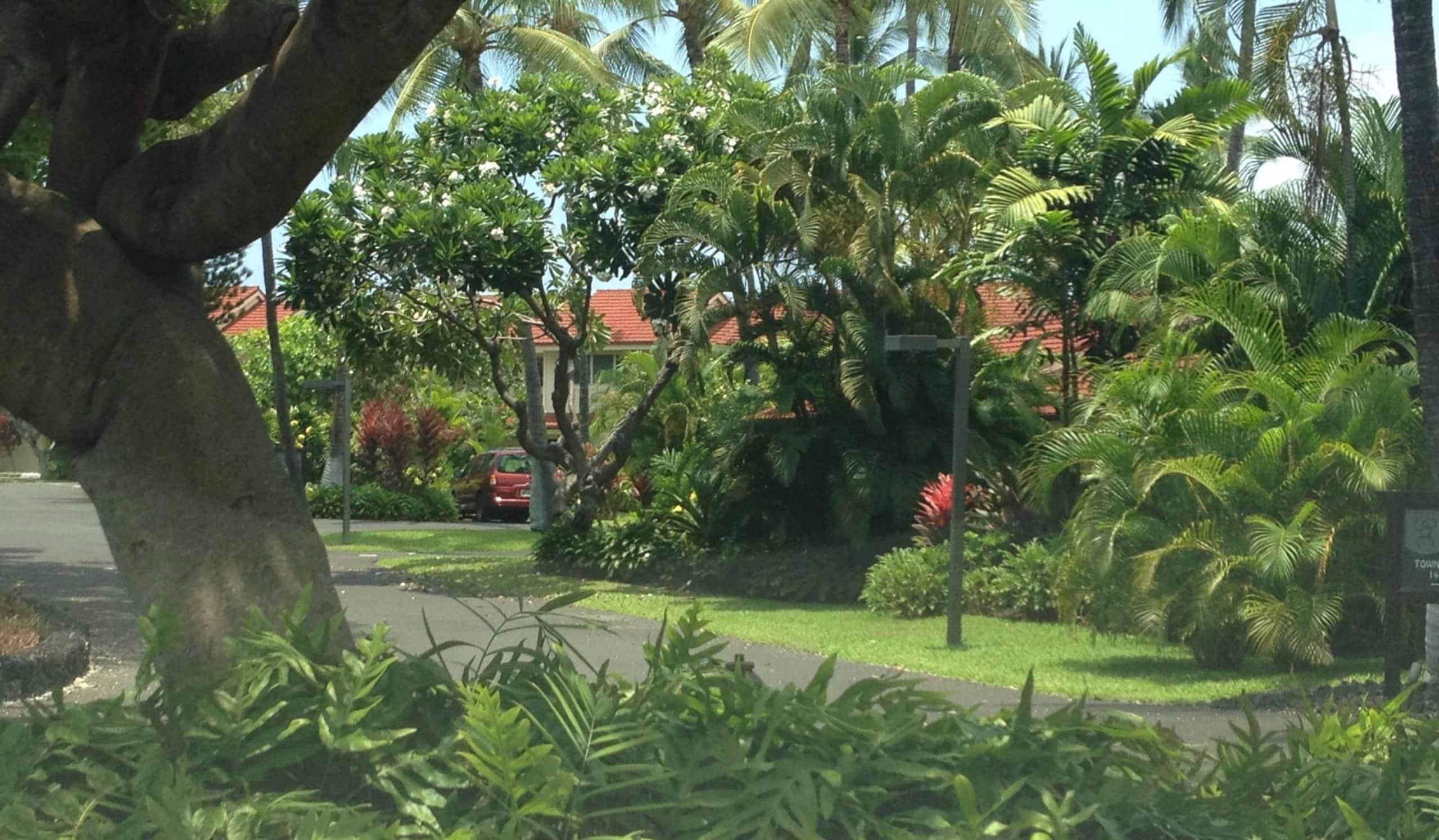 Condo in Kailua-Kona · ★4.89 · 2 bedrooms · 3 beds · 2 baths - Image 29