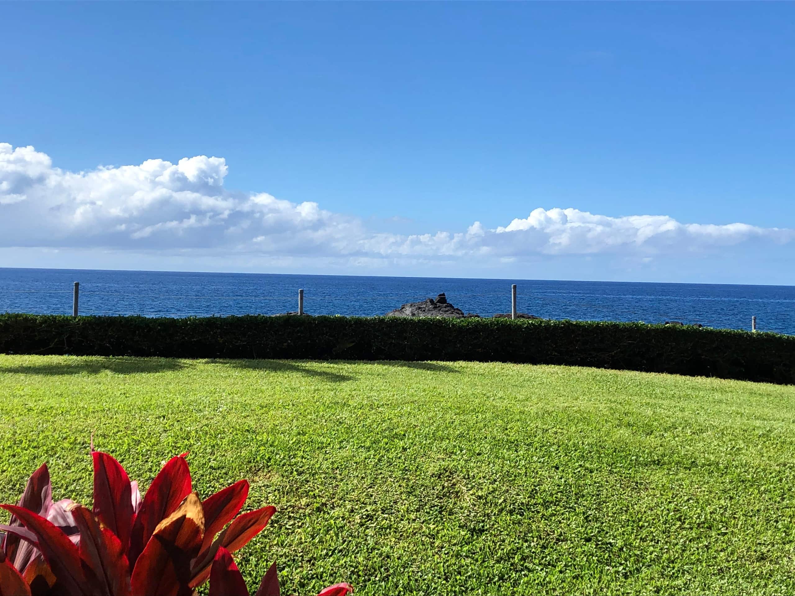 Condo in Kailua-Kona · ★4.89 · 2 bedrooms · 3 beds · 2 baths - Image 2