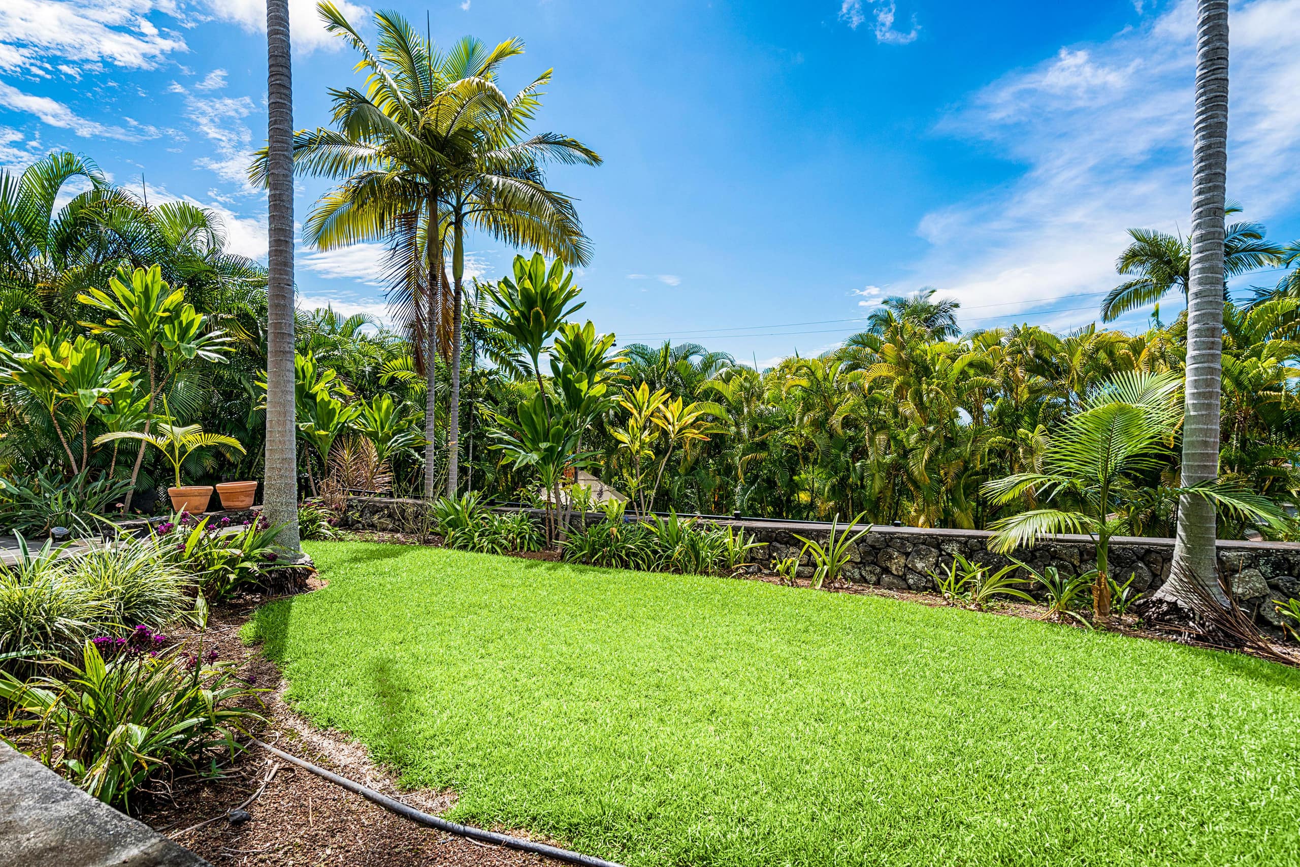 Home in Kailua-Kona · ★4.5 · 3 bedrooms · 4 beds · 2 baths - Image 38