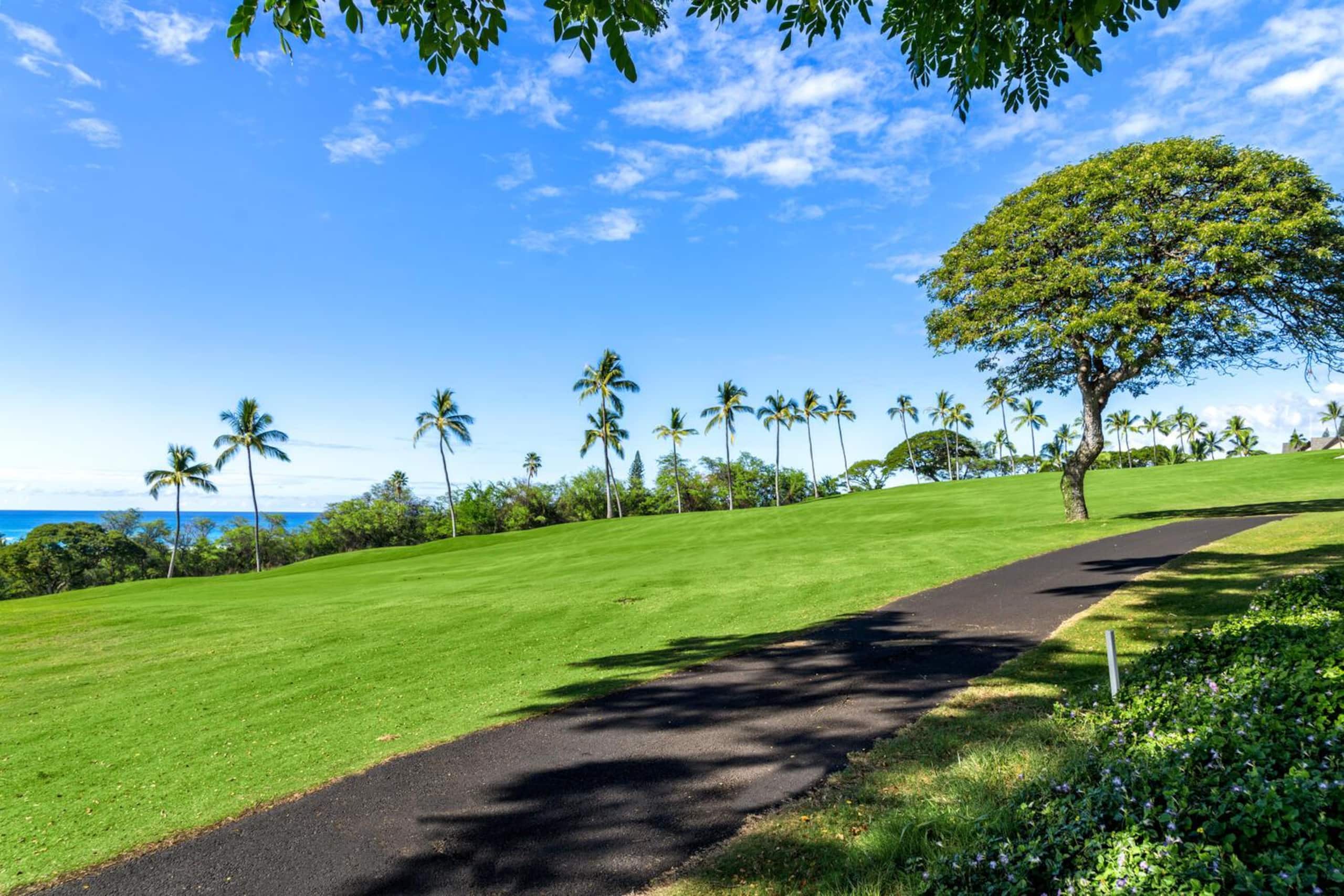Condo in Kailua-Kona · ★4.76 · 1 bedroom · 2 beds · 2 private baths - Image 25